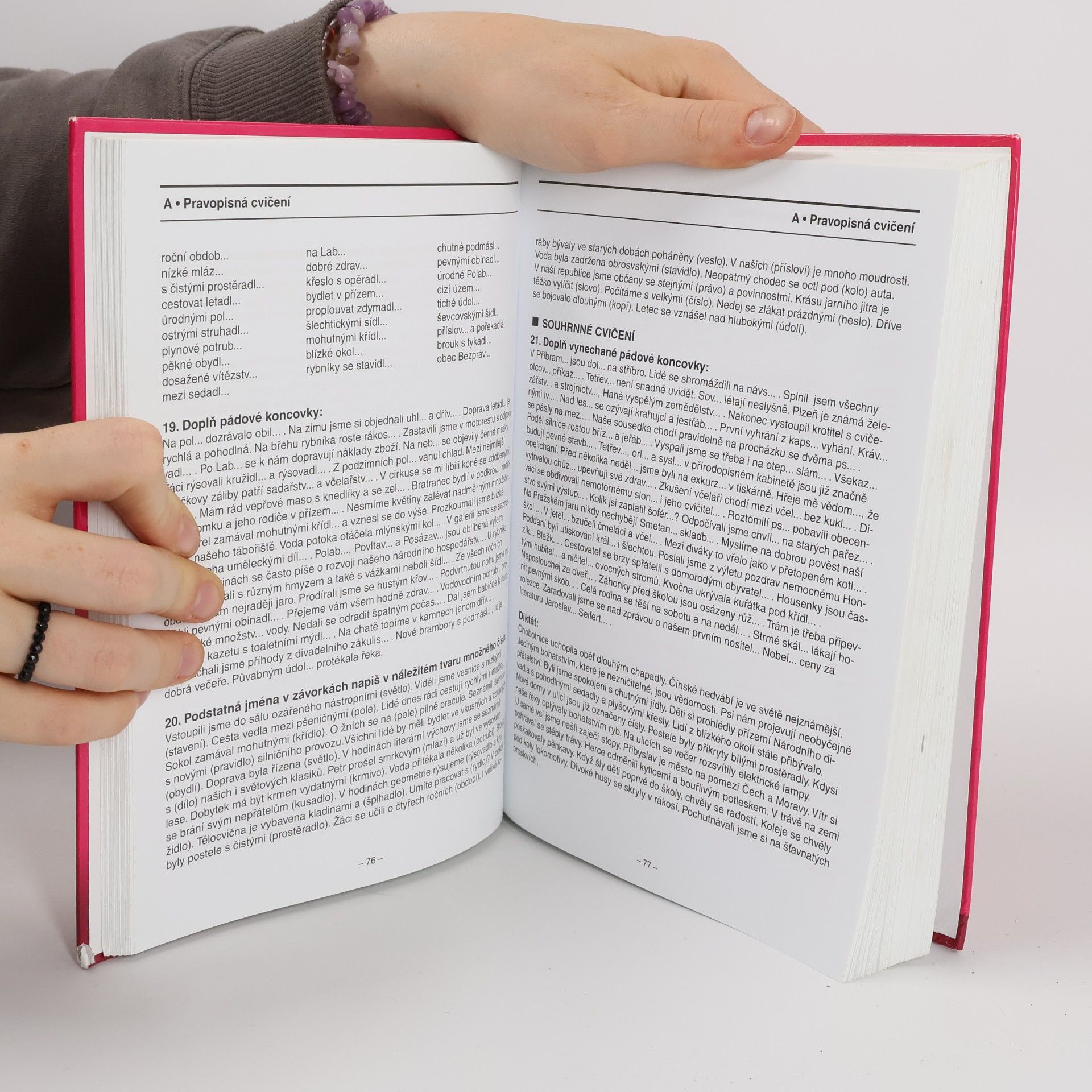 Autorenkollektiv Přehled učiva českého jazyka s procvičováním pravopisných jevů, s poučením a klíčem správnosti