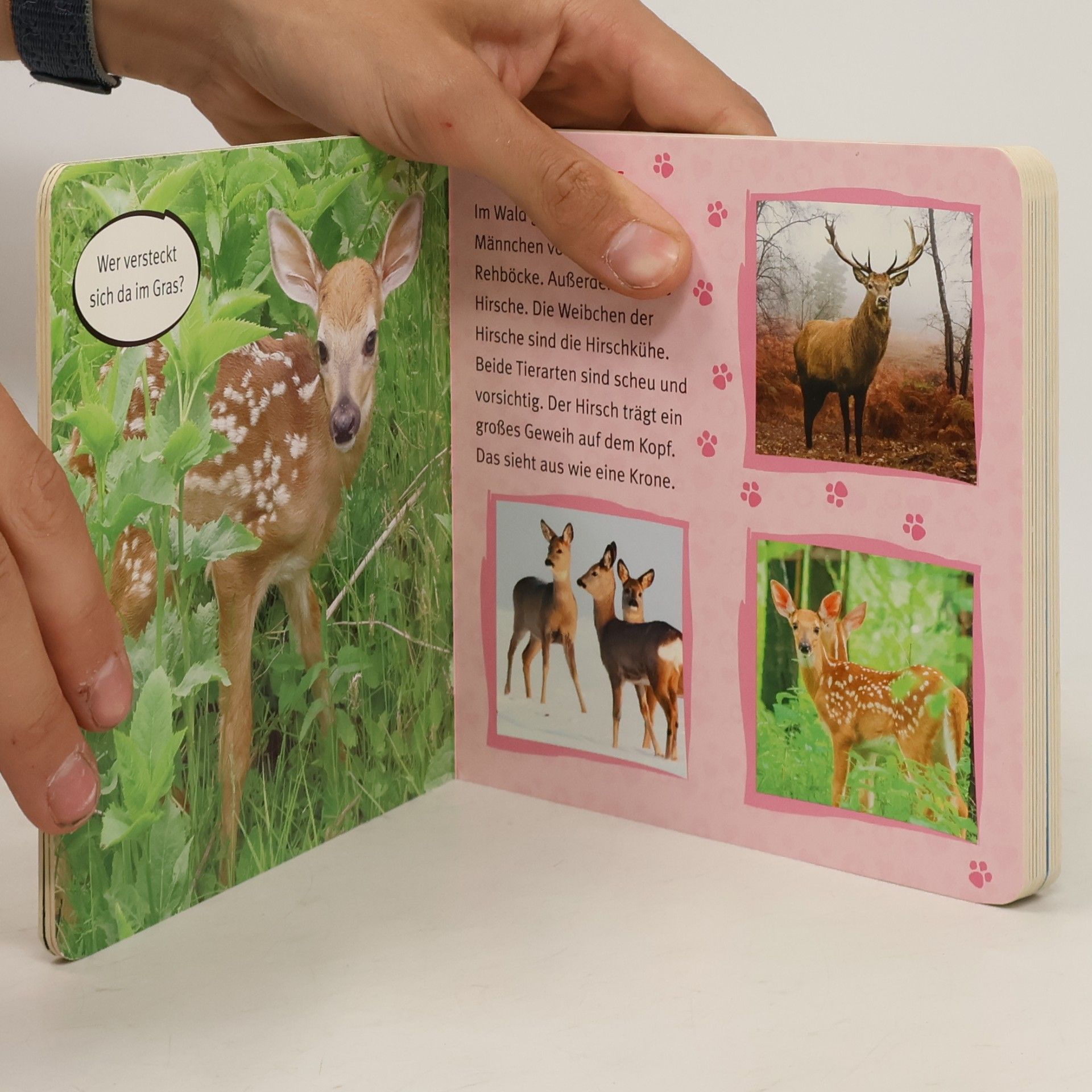 Stefanie Kern Meine Wald- und Wildparktiere