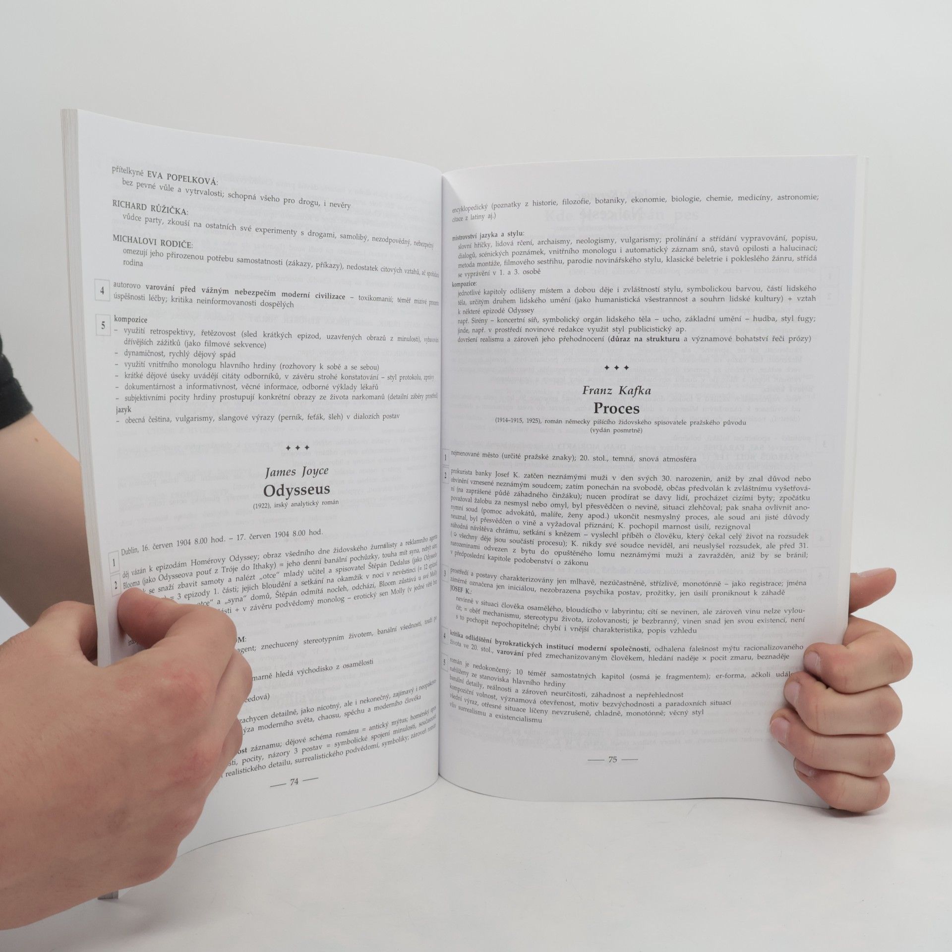 Marie Sochrová Čtenářský deník k Literatuře v kostce