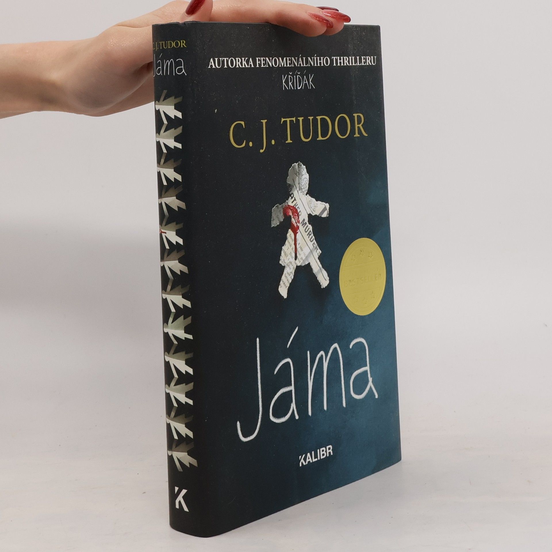 C.J. Tudor Jáma