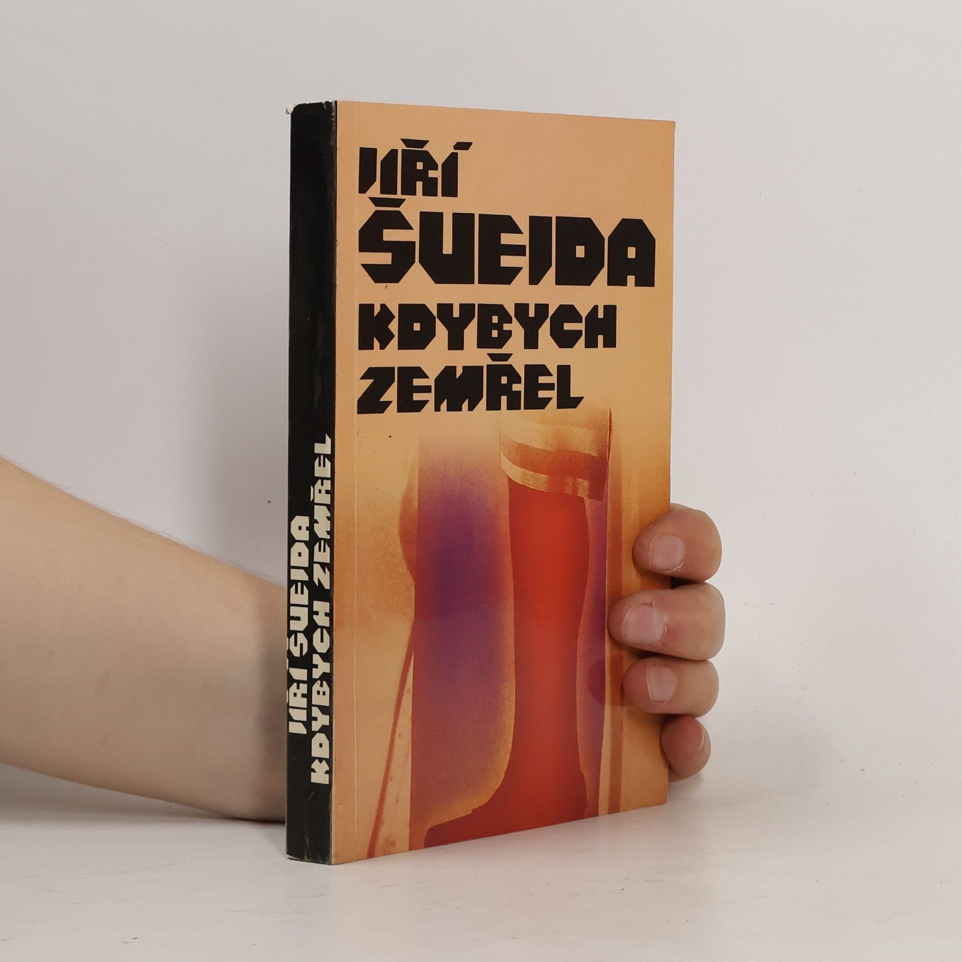 Jiří Švejda Kdybych zemřel