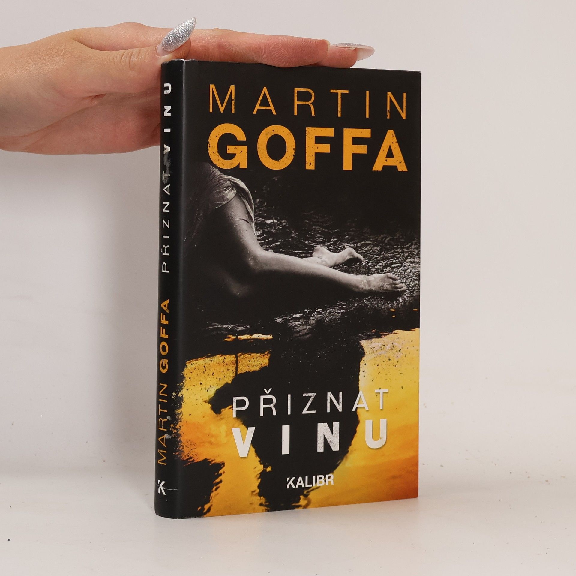 Martin Goffa Přiznat vinu