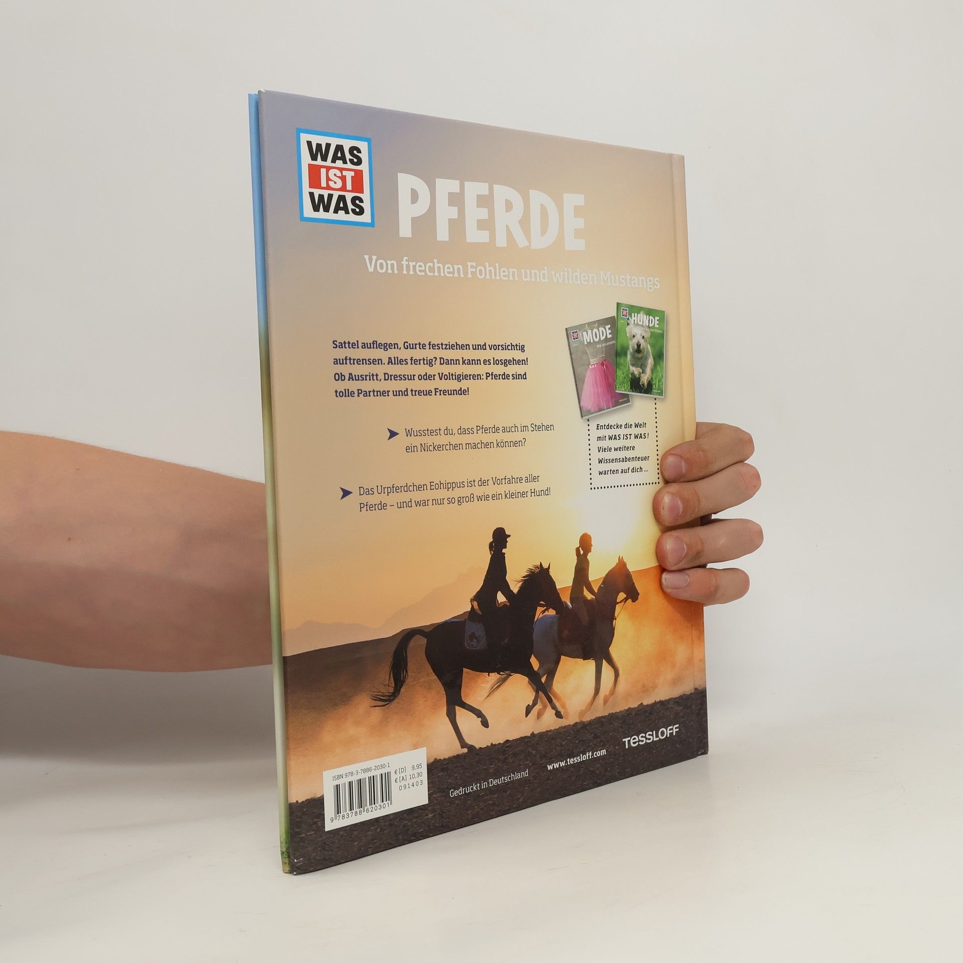Silke Behling Pferde. Von frechen Fohlen und wilden Mustangs.