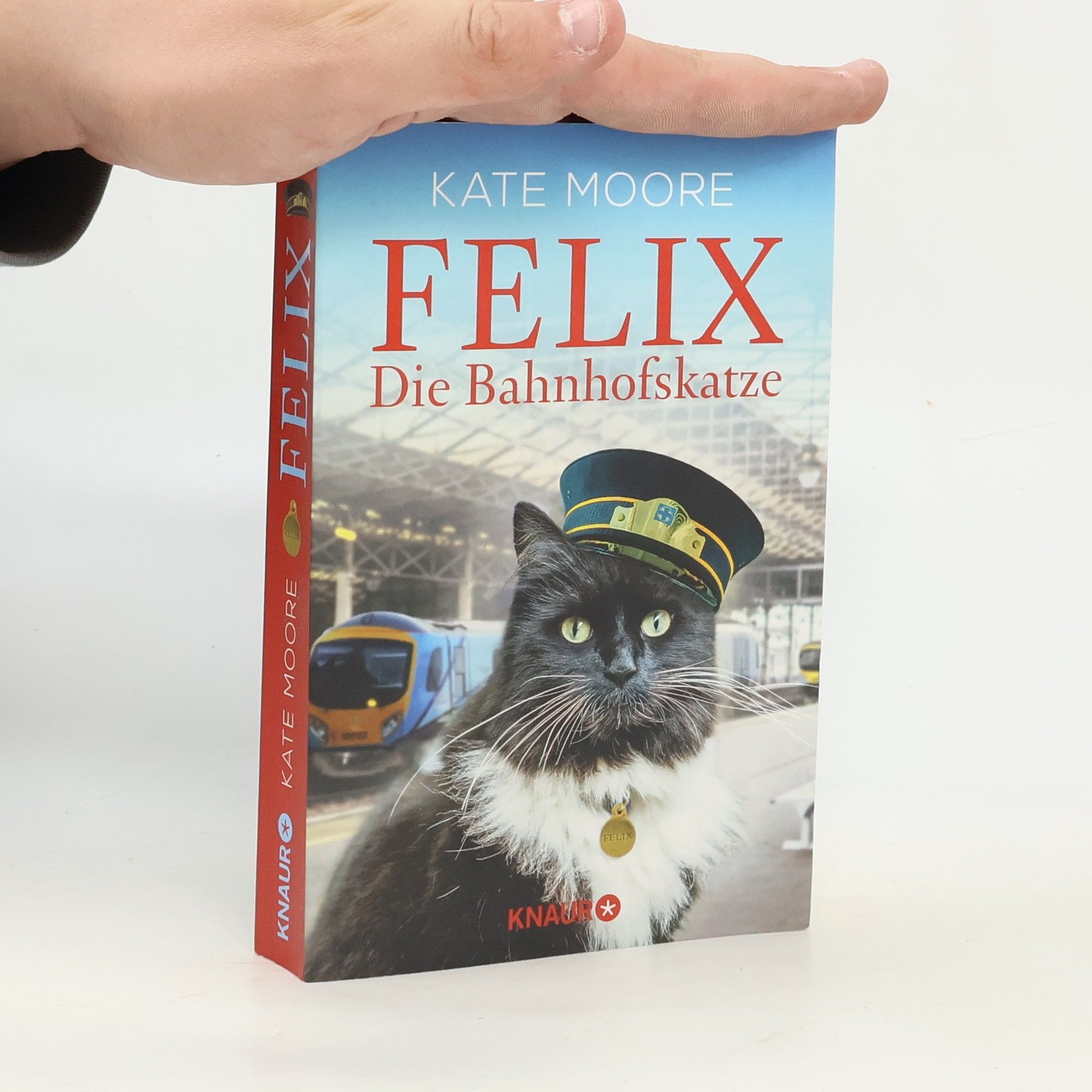 Kate Moore Felix - die Bahnhofskatze