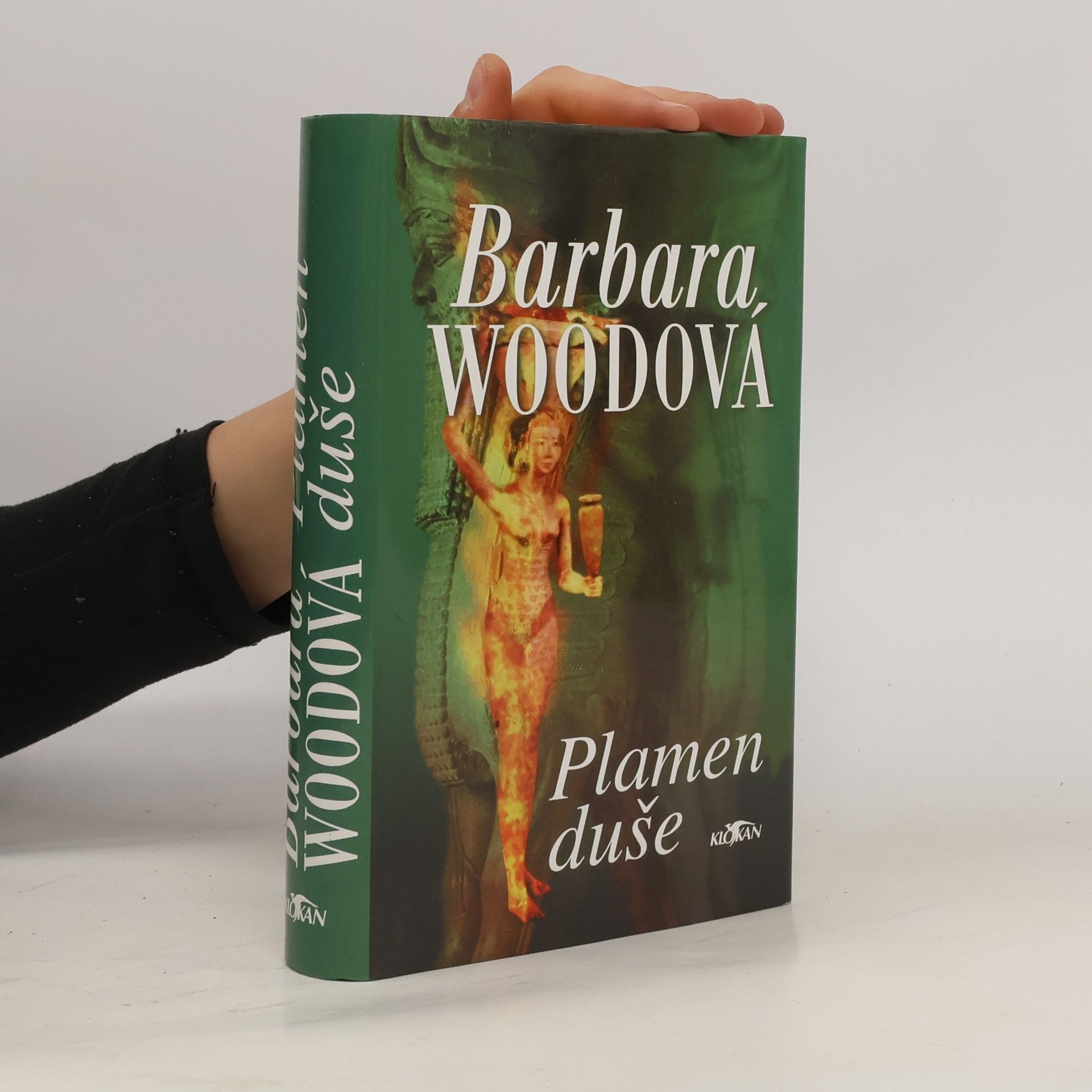 Barbara Wood Plamen duše