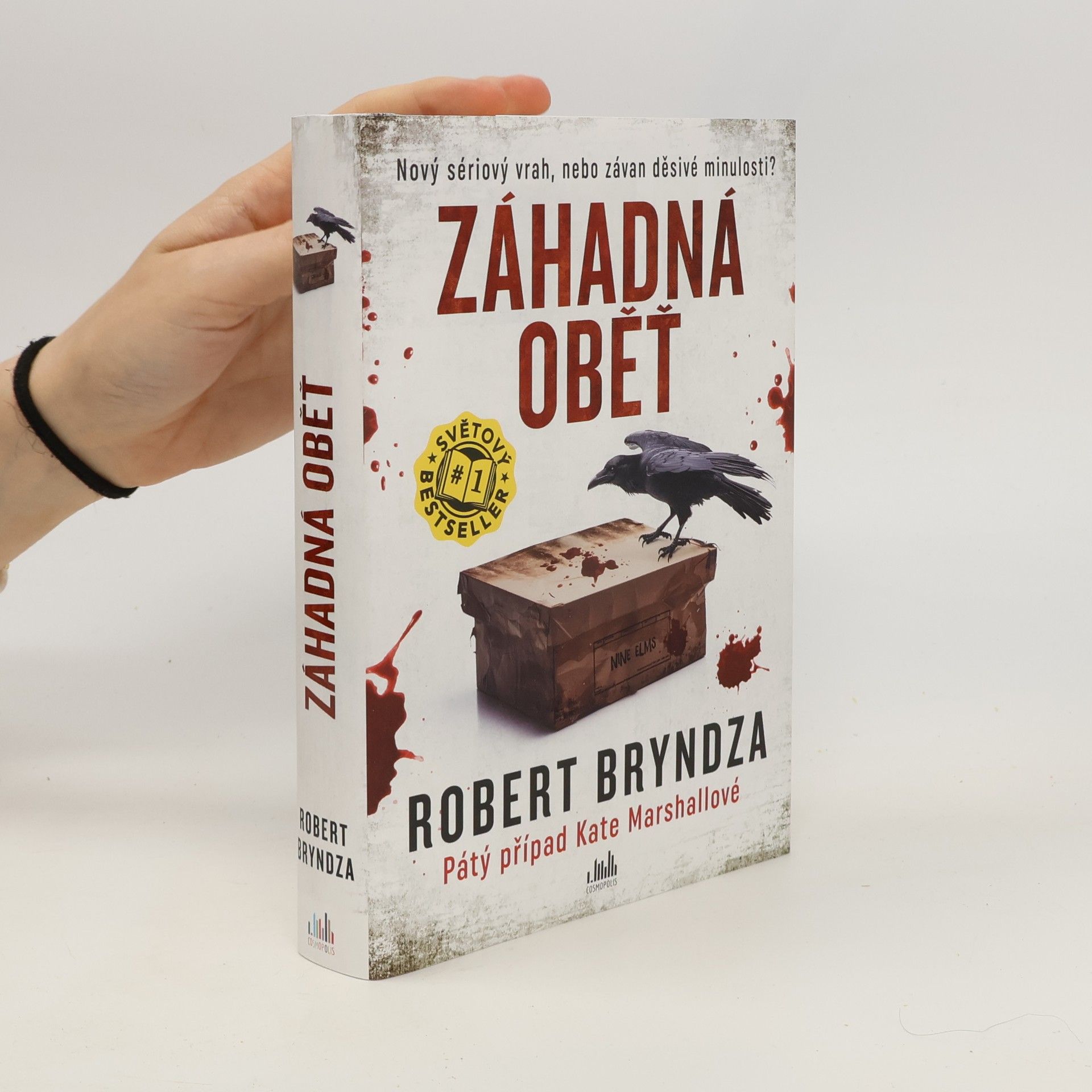 Robert Bryndza Záhadná oběť