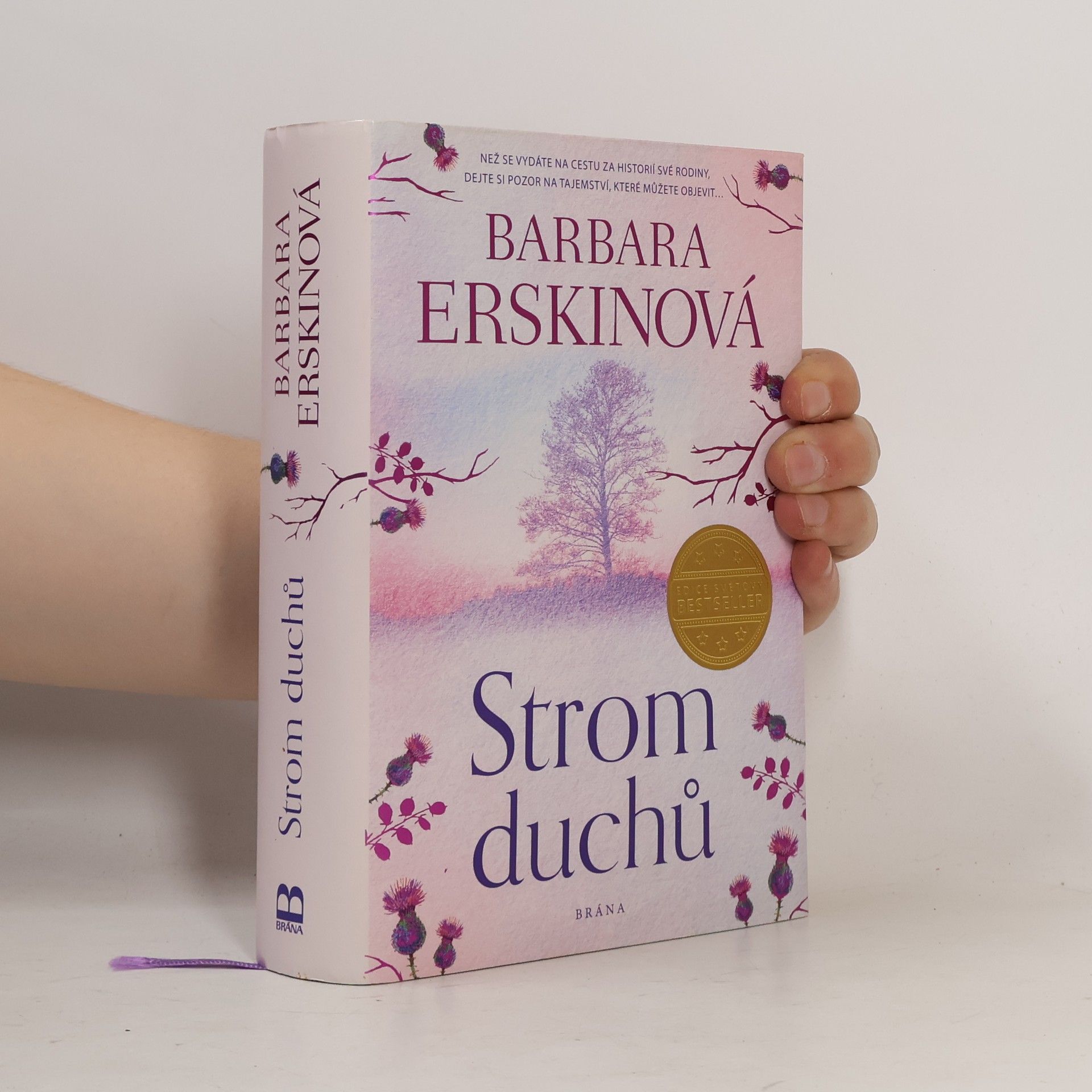 Barbara Erskine Strom duchů