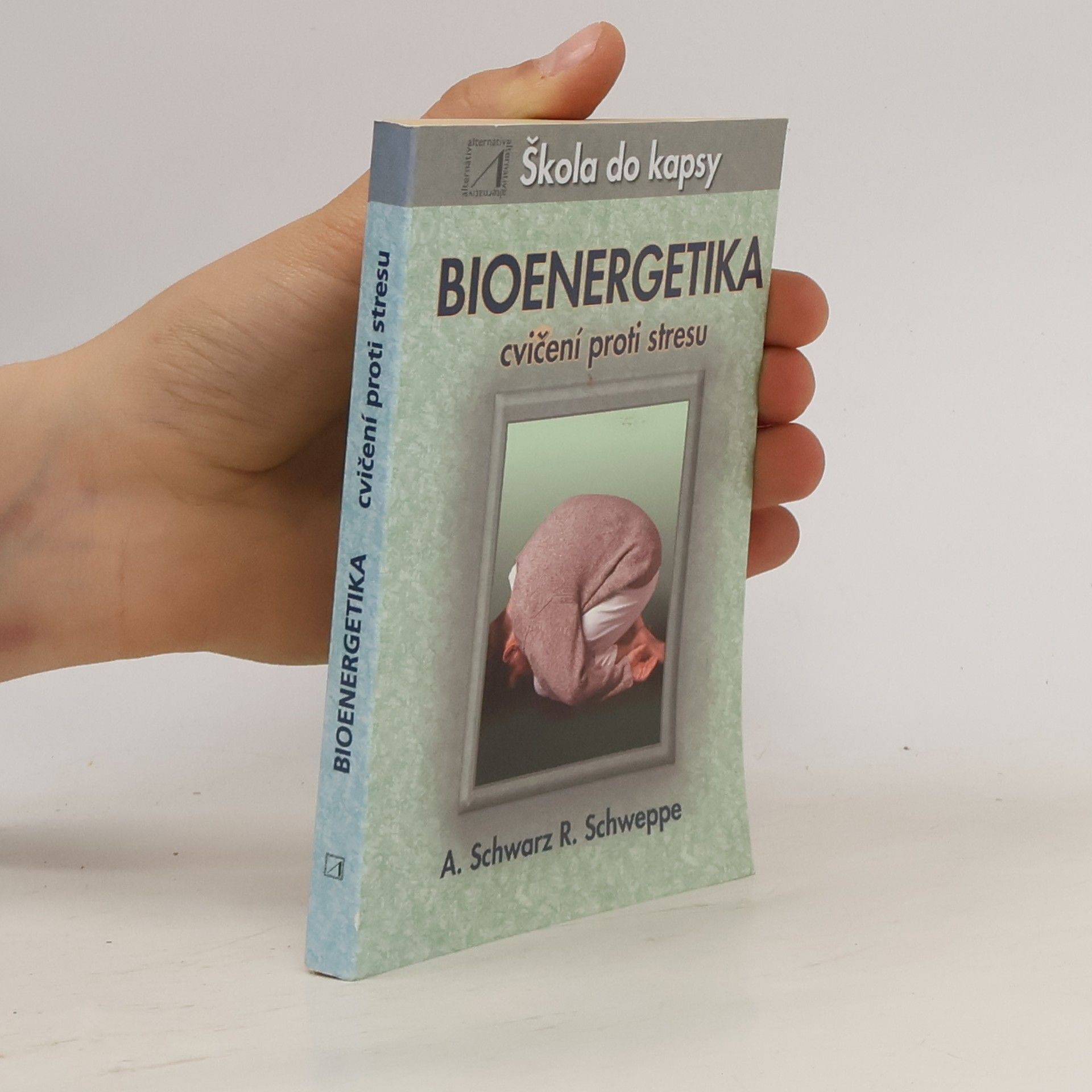 Ronald P. Schweppe Bioenergetika - cvičení proti stresu