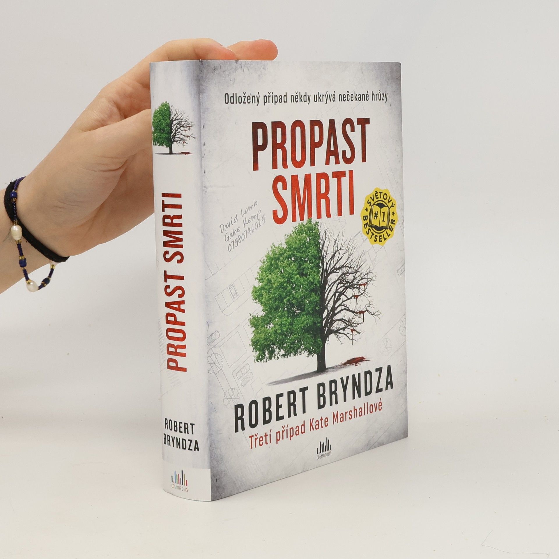 Robert Bryndza Propast smrti