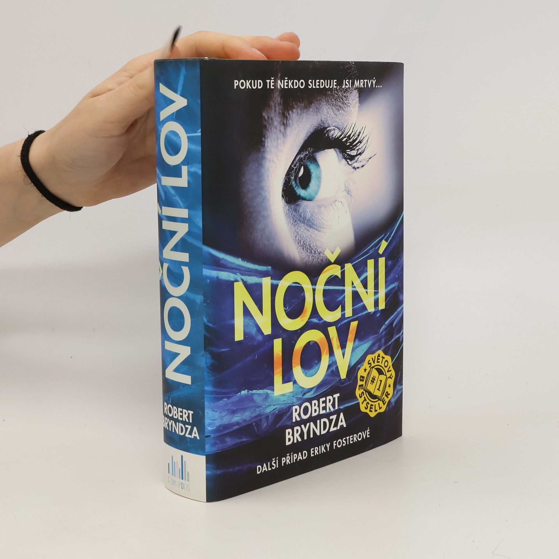 Robert Bryndza Noční lov
