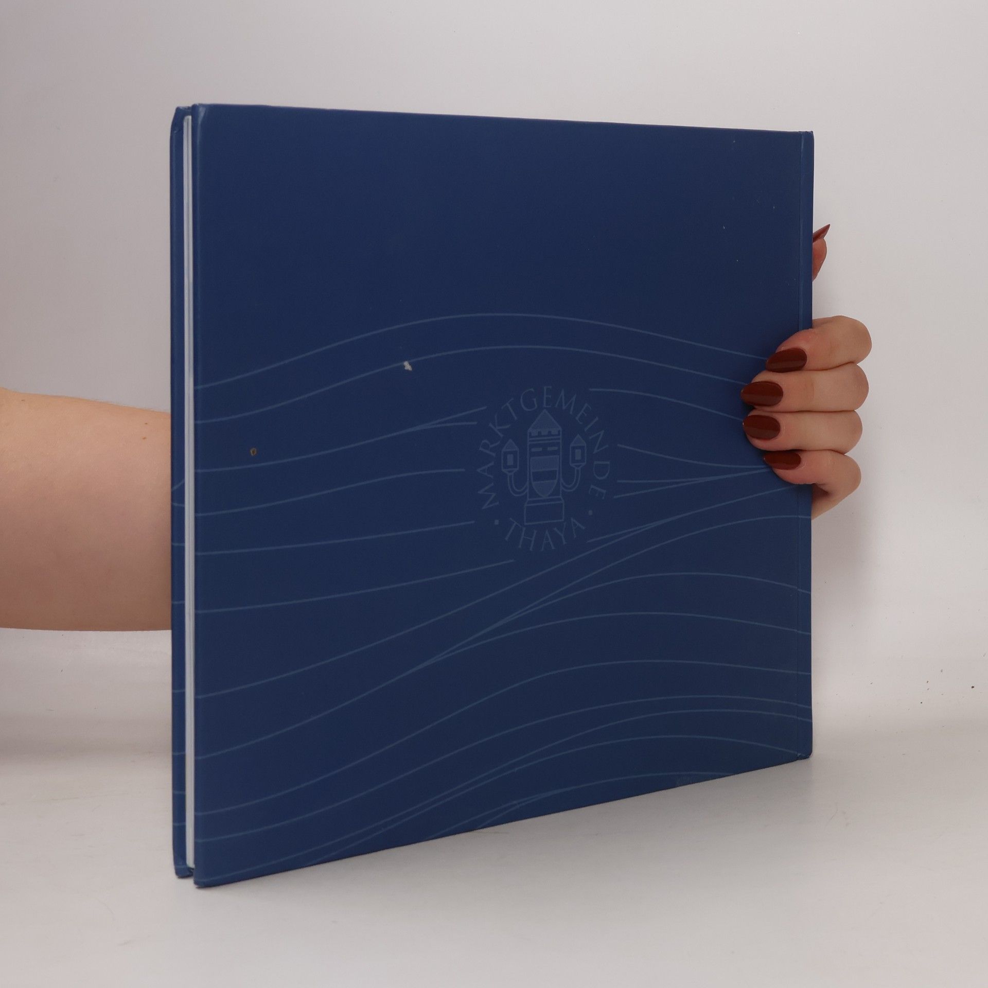 Autores varios Thaya 1175-2025 Festschrift