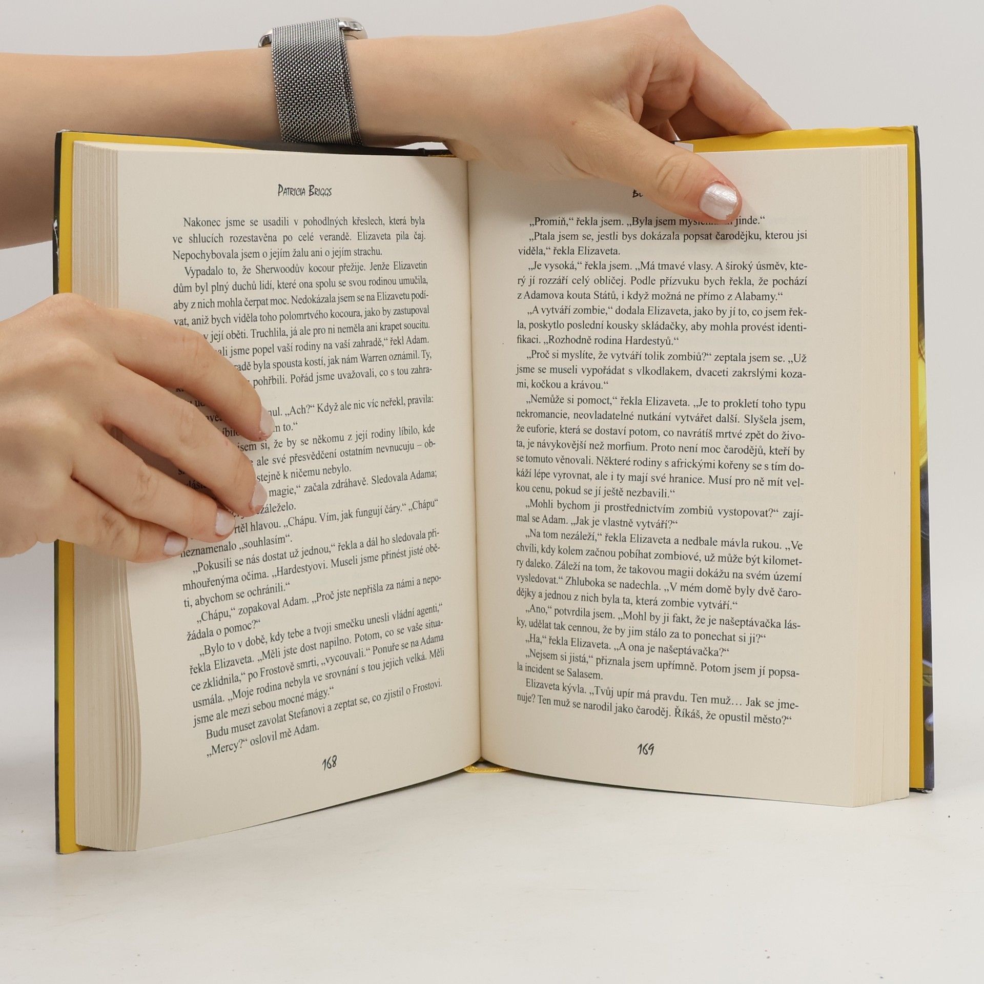 Patricia Briggs Bouří prokletá