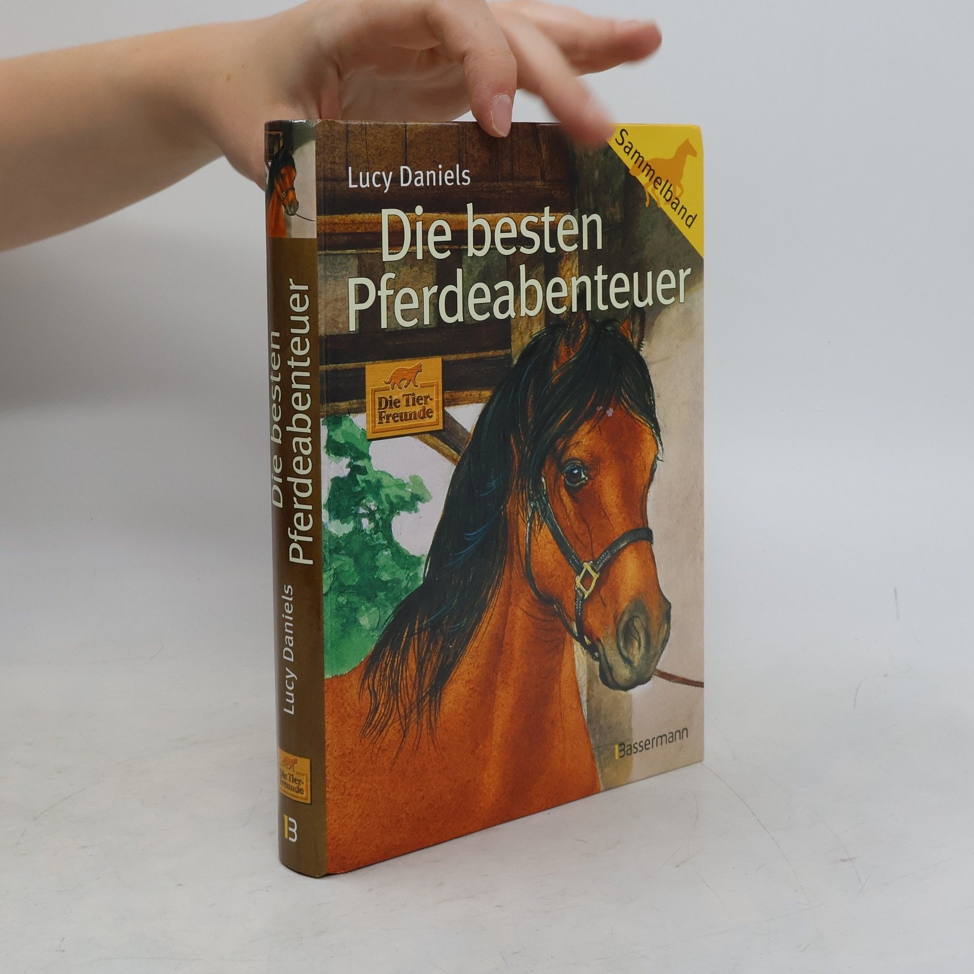 Lucy Daniels Die besten Pferdeabenteuer