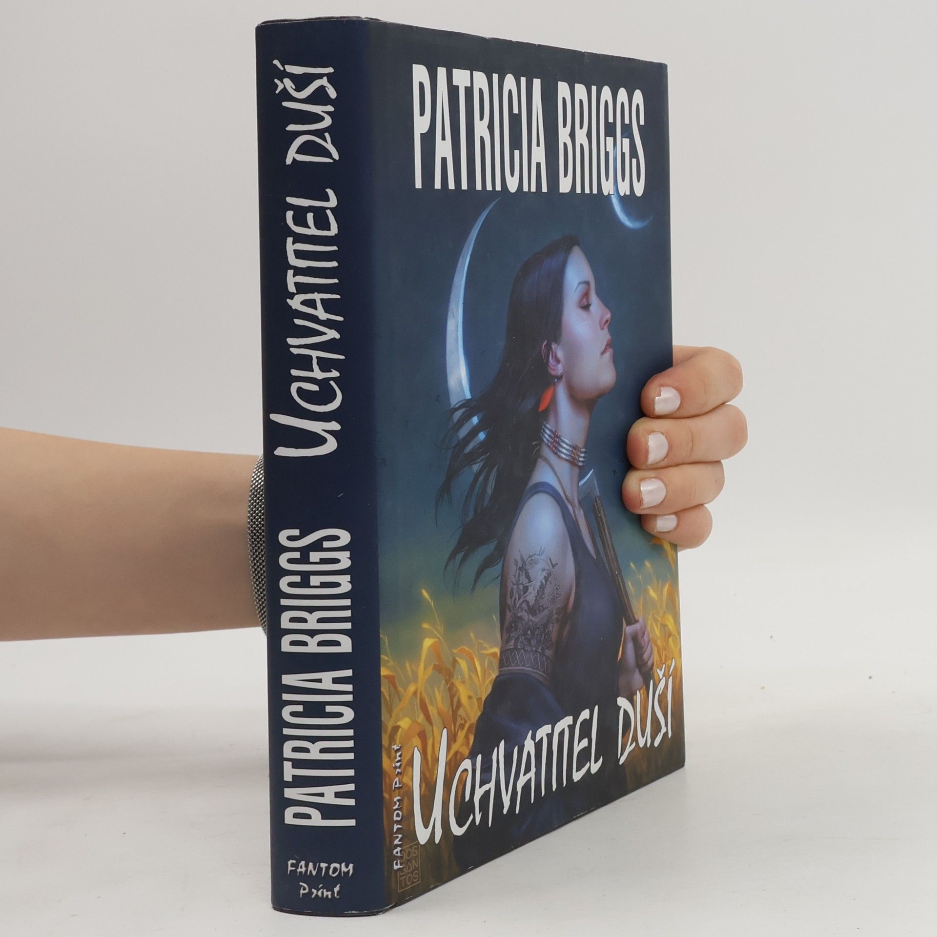 Patricia Briggs Uchvatitel duší