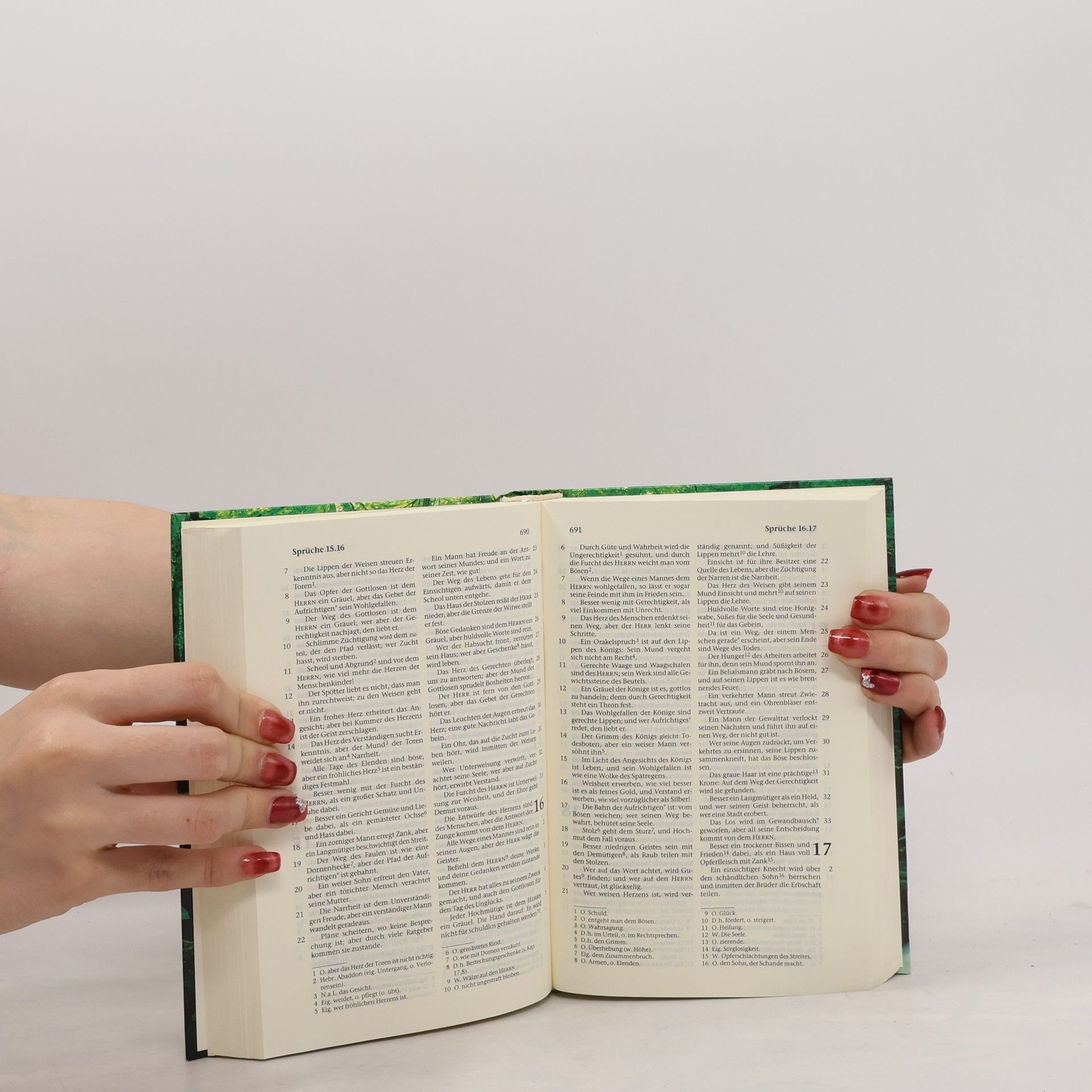 Kolektiv autorů Die Bibel