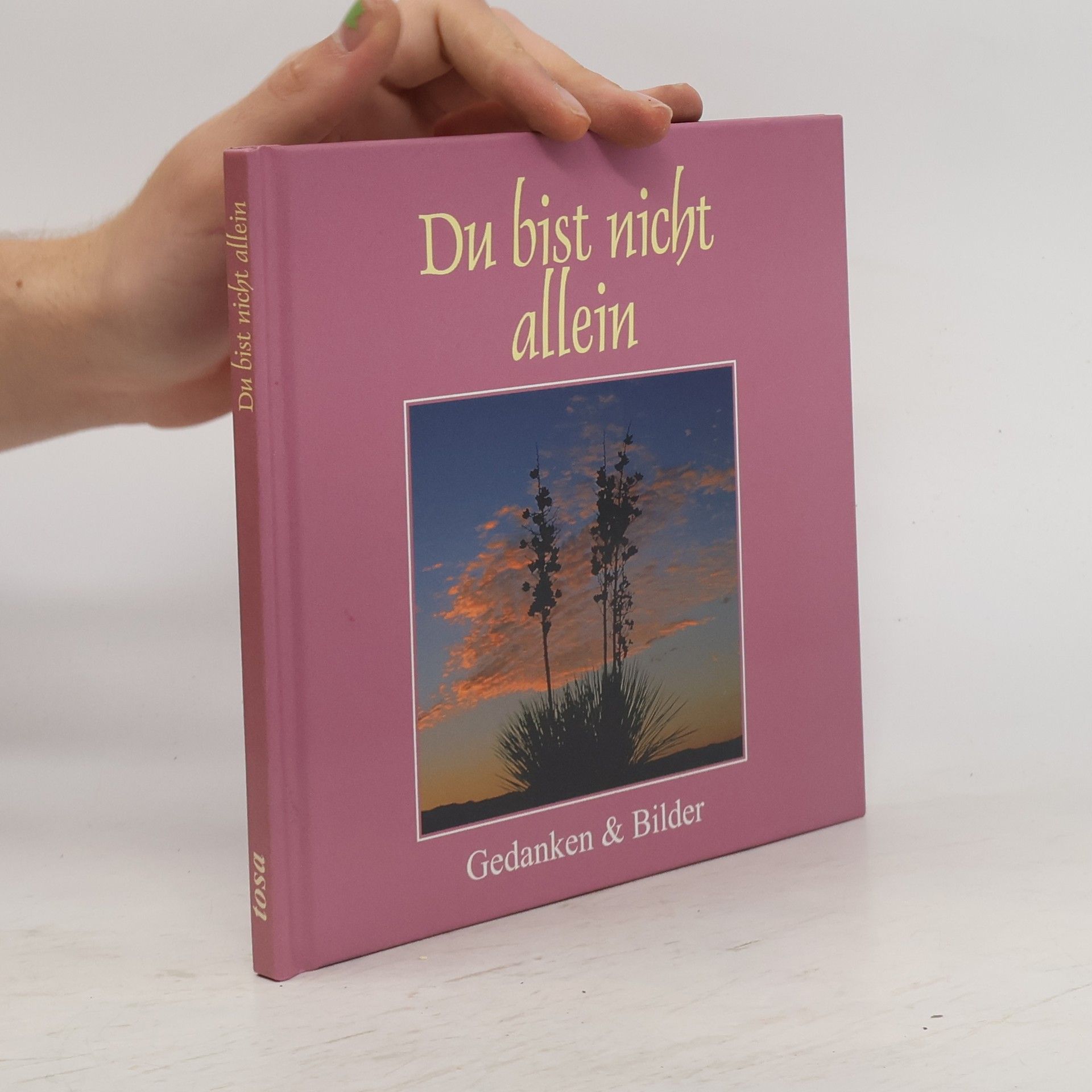 Kolektiv autorů Du bist nicht allein