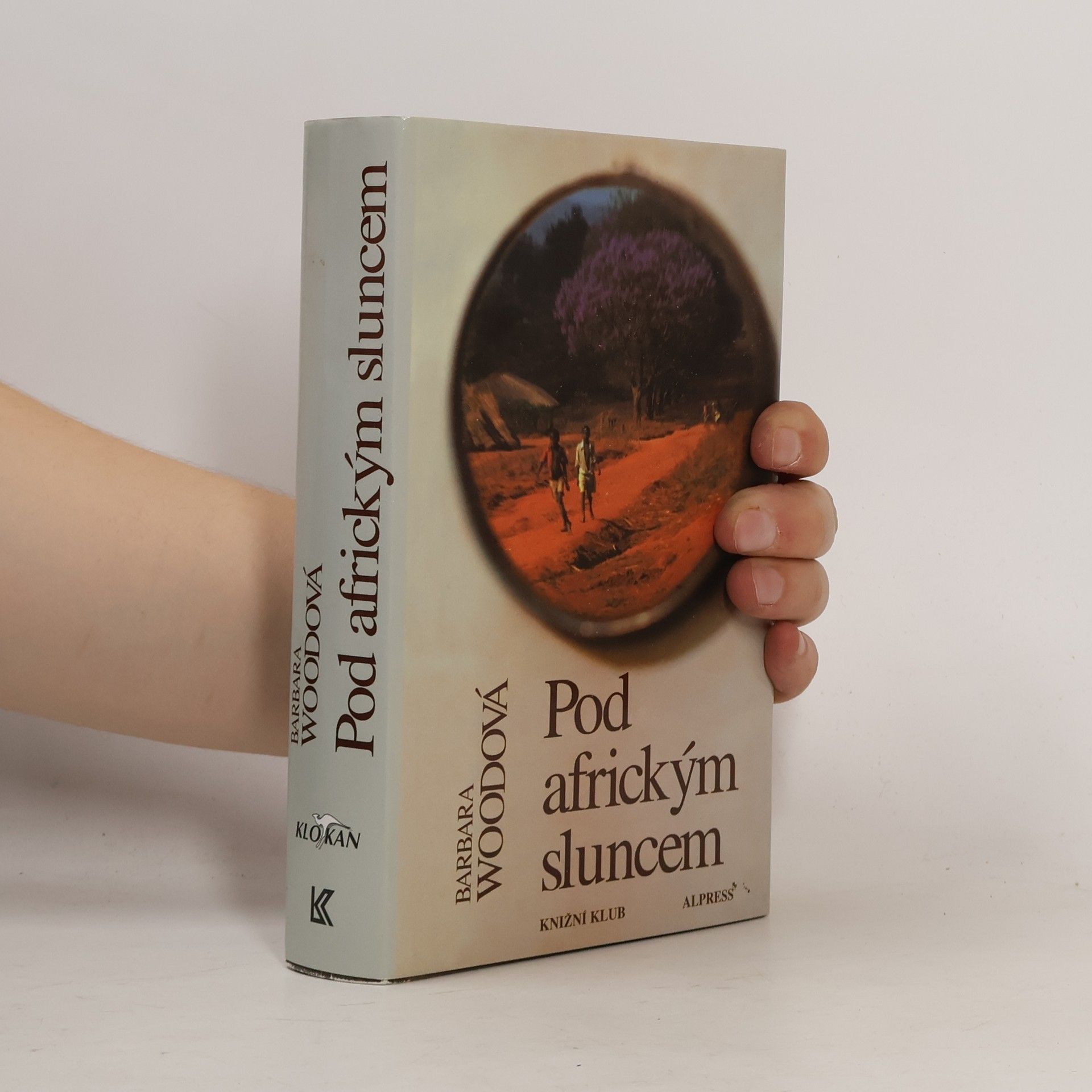Barbara Wood Pod africkým sluncem