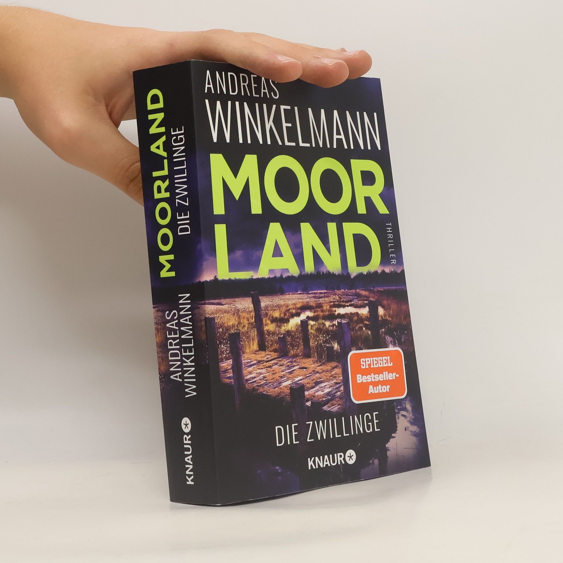 Hendrik Winter Moorland. Die Zwillinge
