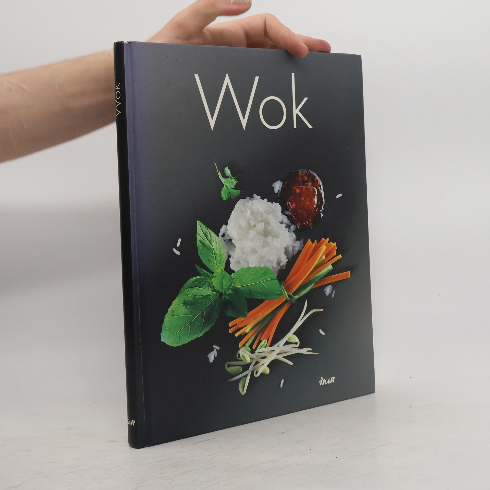Kolektiv autorů Wok