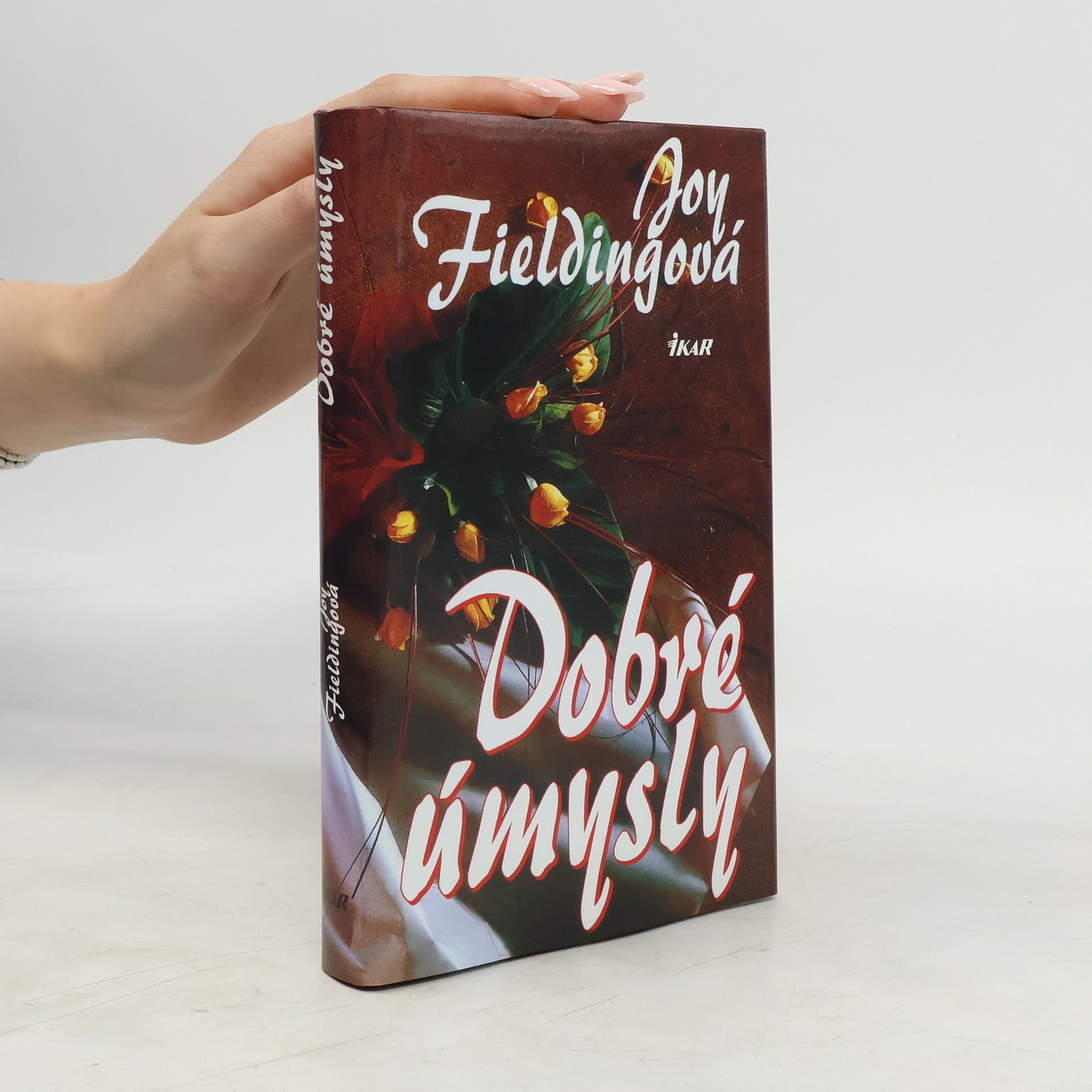 Joy Fielding Dobré úmysly