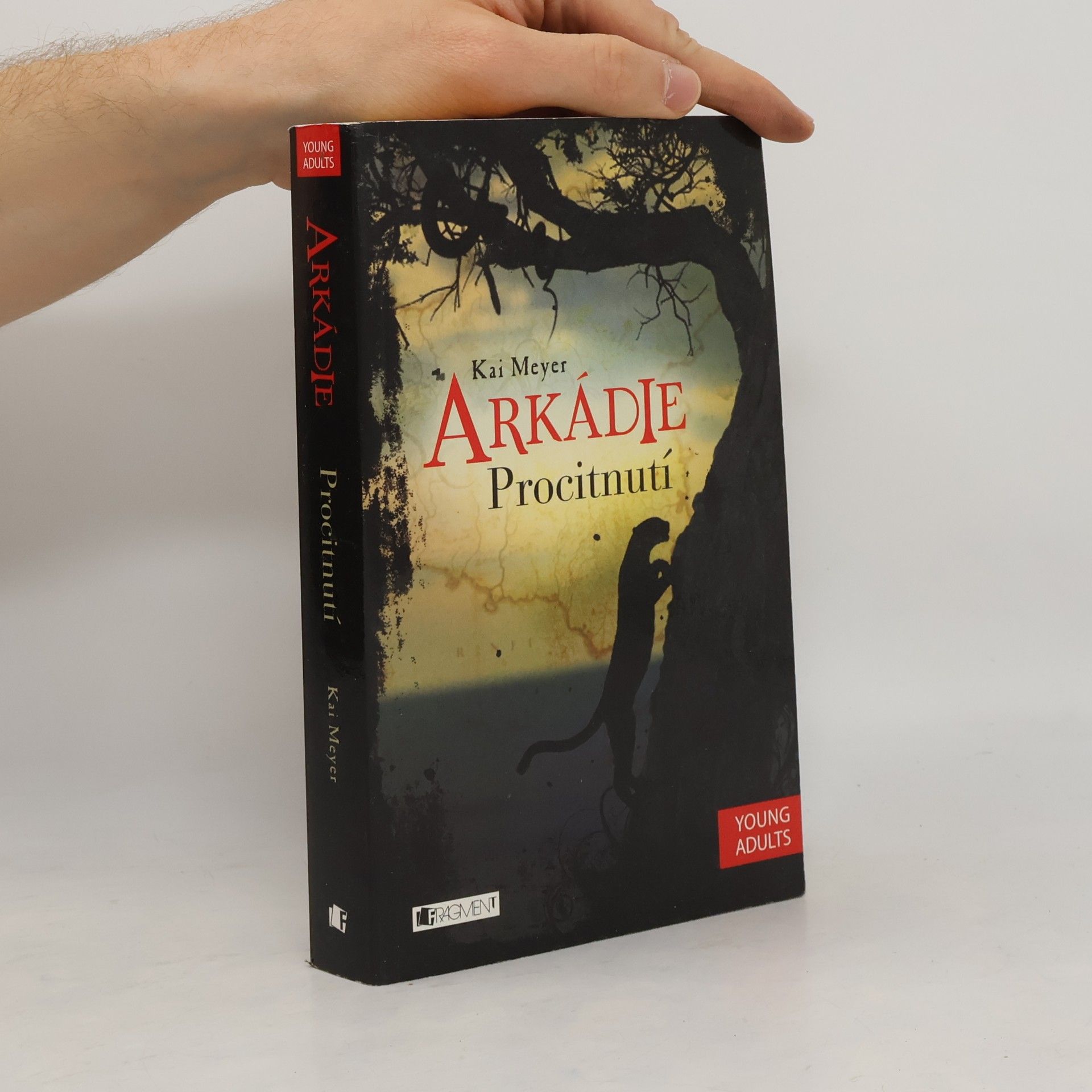 Kai Meyer Arkádie. Procitnutí
