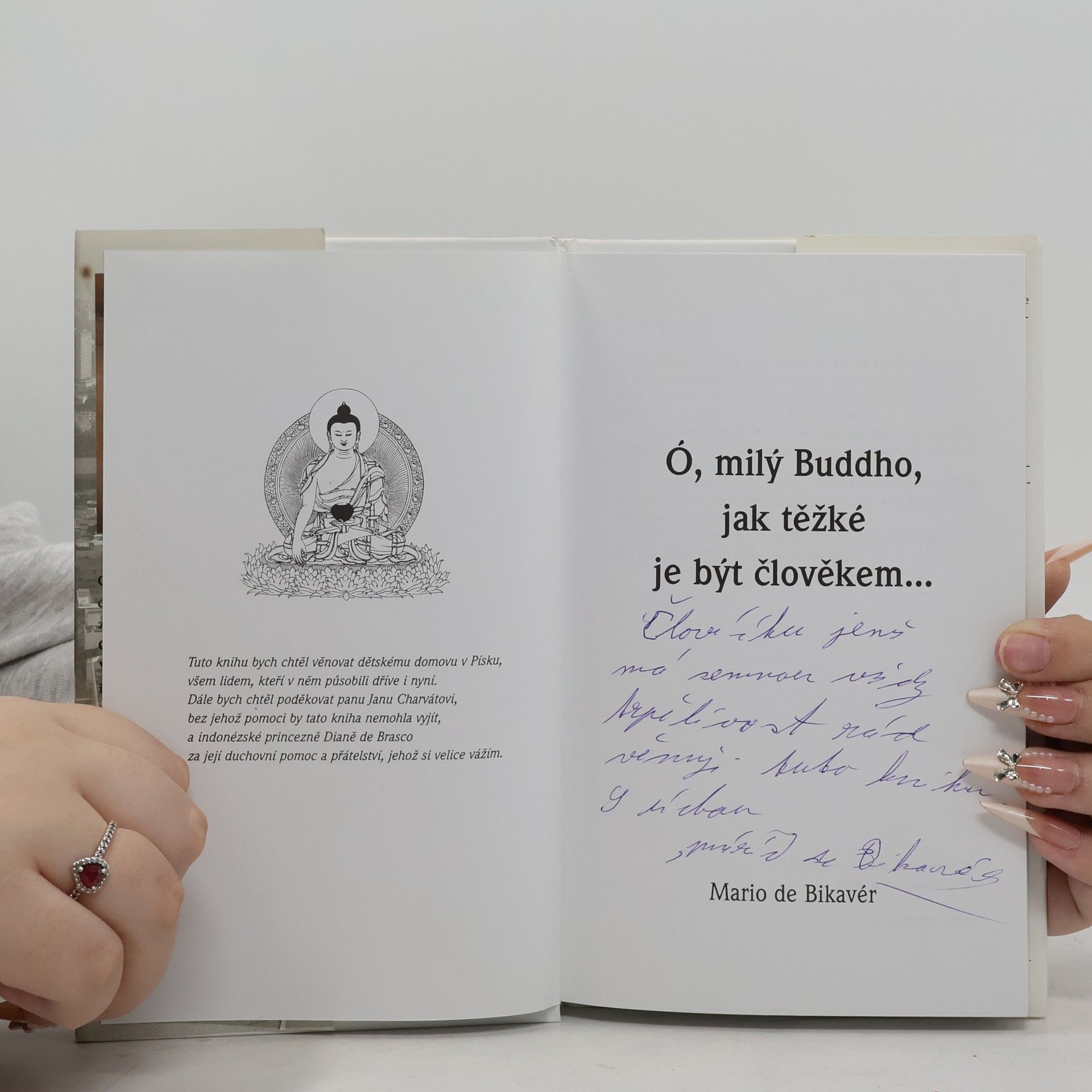 Mario de Bikavér Ó, milý Buddho, jak těžké je být člověkem