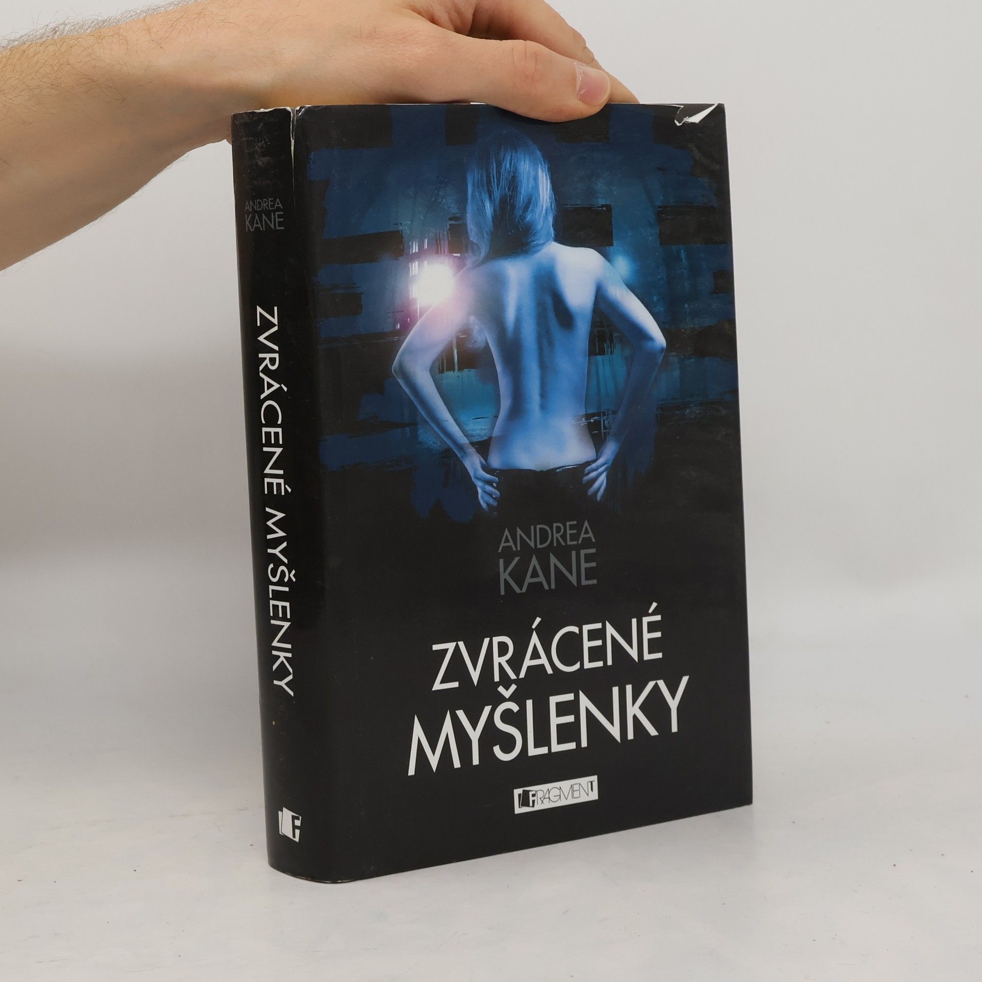 Andrea Kane Zvrácené myšlenky