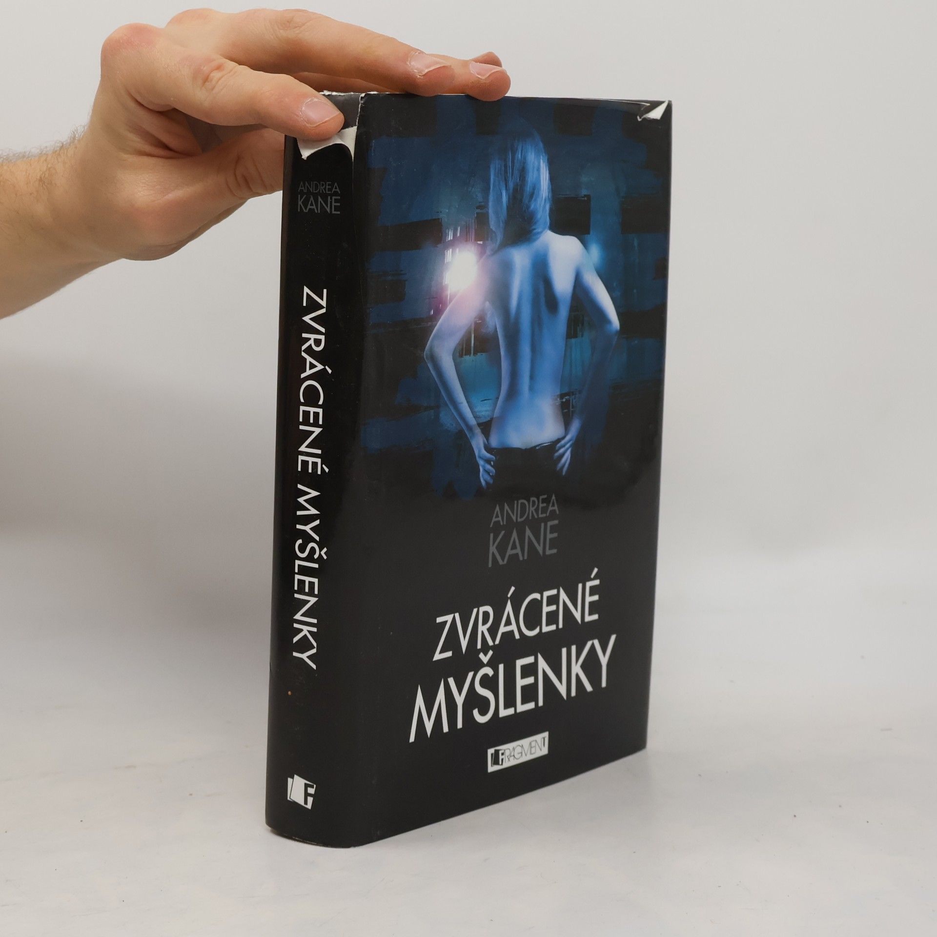 Andrea Kane Zvrácené myšlenky