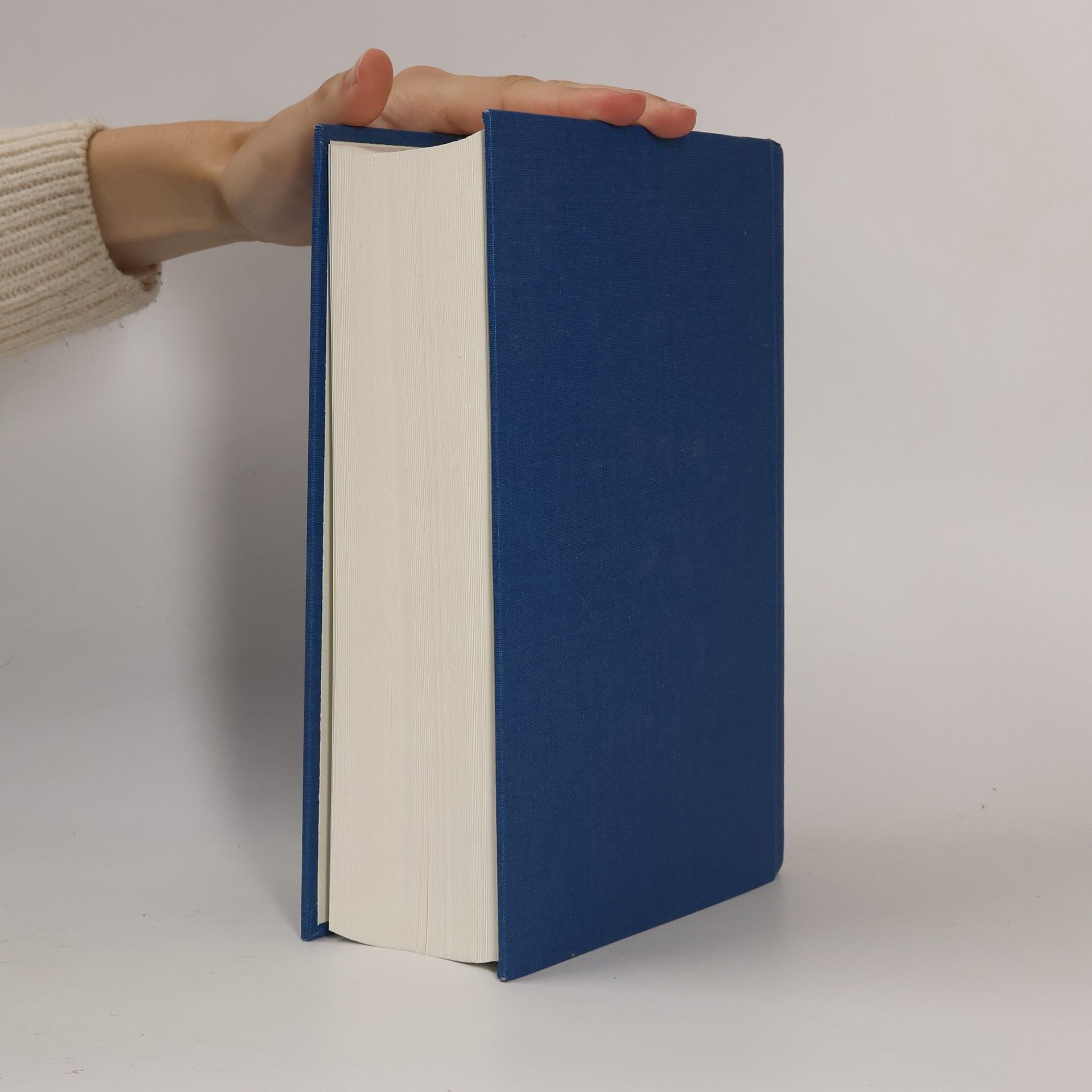 Autores varios The Norton Anthology of Theory and Criticism