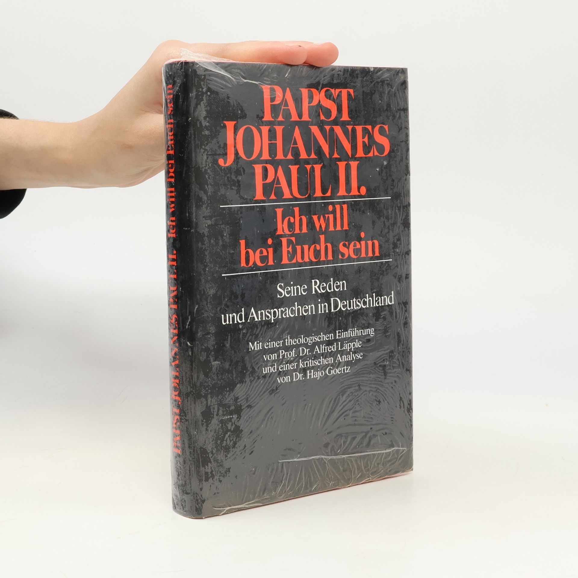 Papa Johannes Paulus (II.) Ich will bei Euch sein