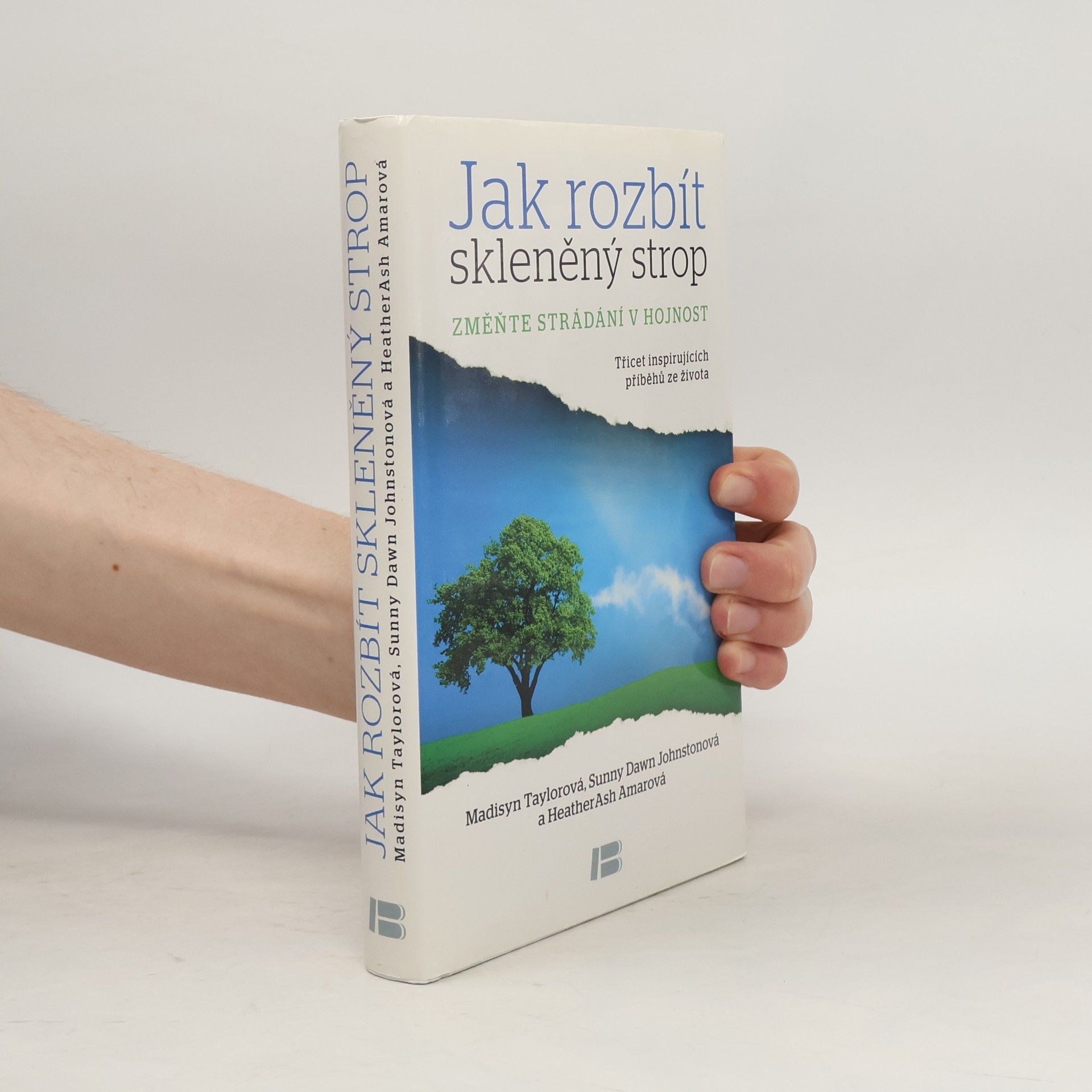 Heather Ash Amara Jak rozbít skleněný strop