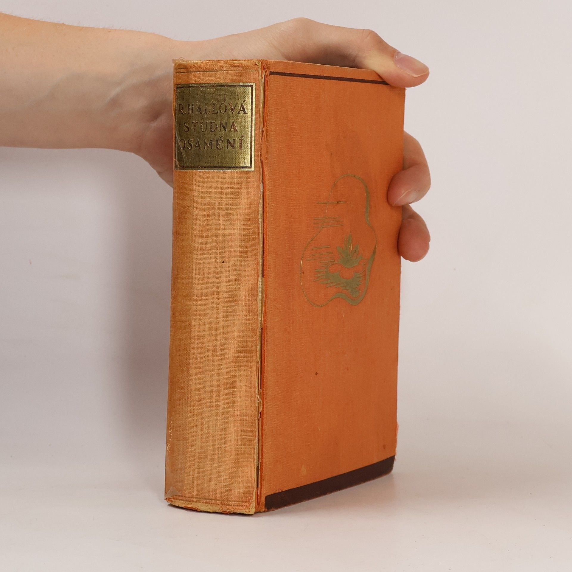 Radclyffe Hall Studna osamění