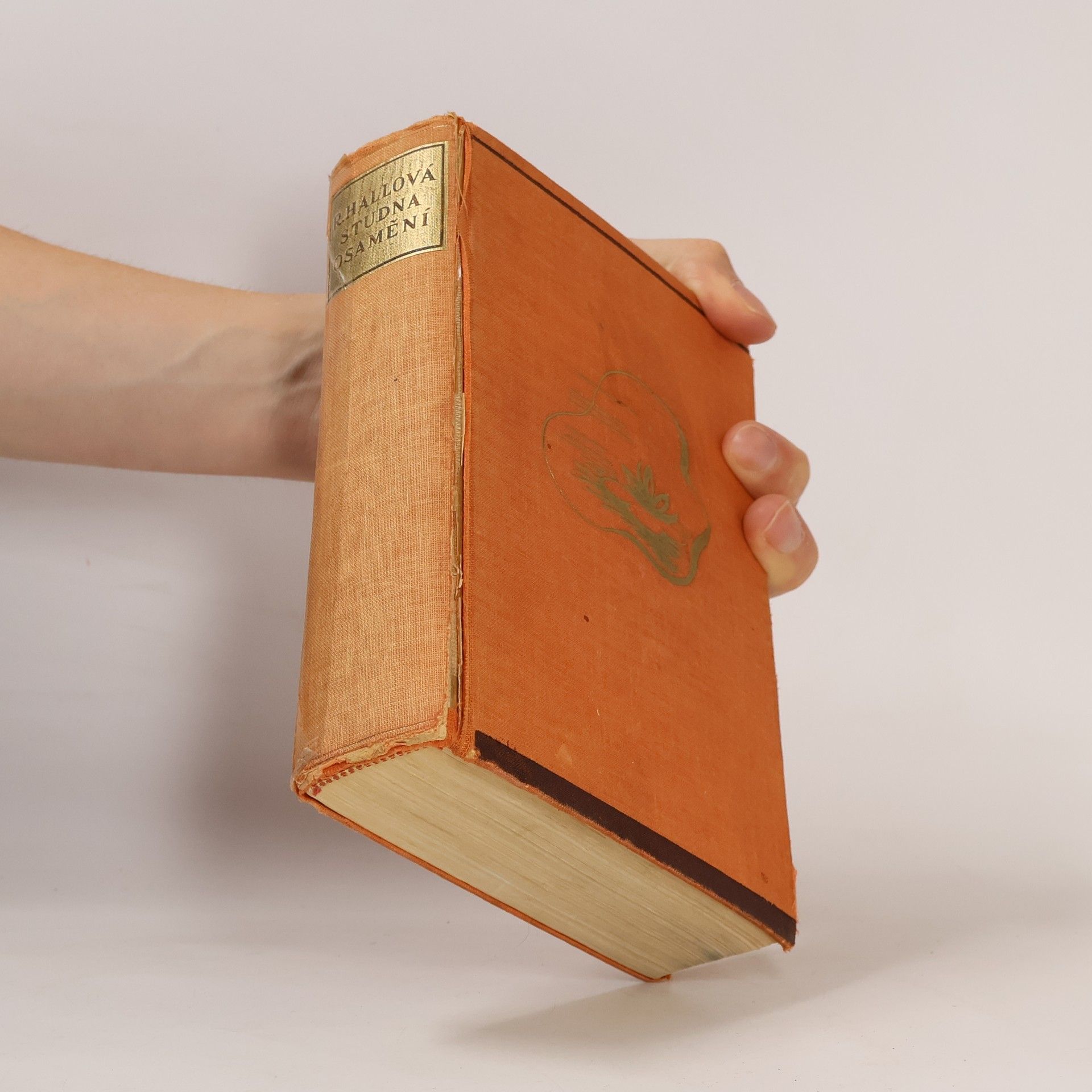 Radclyffe Hall Studna osamění