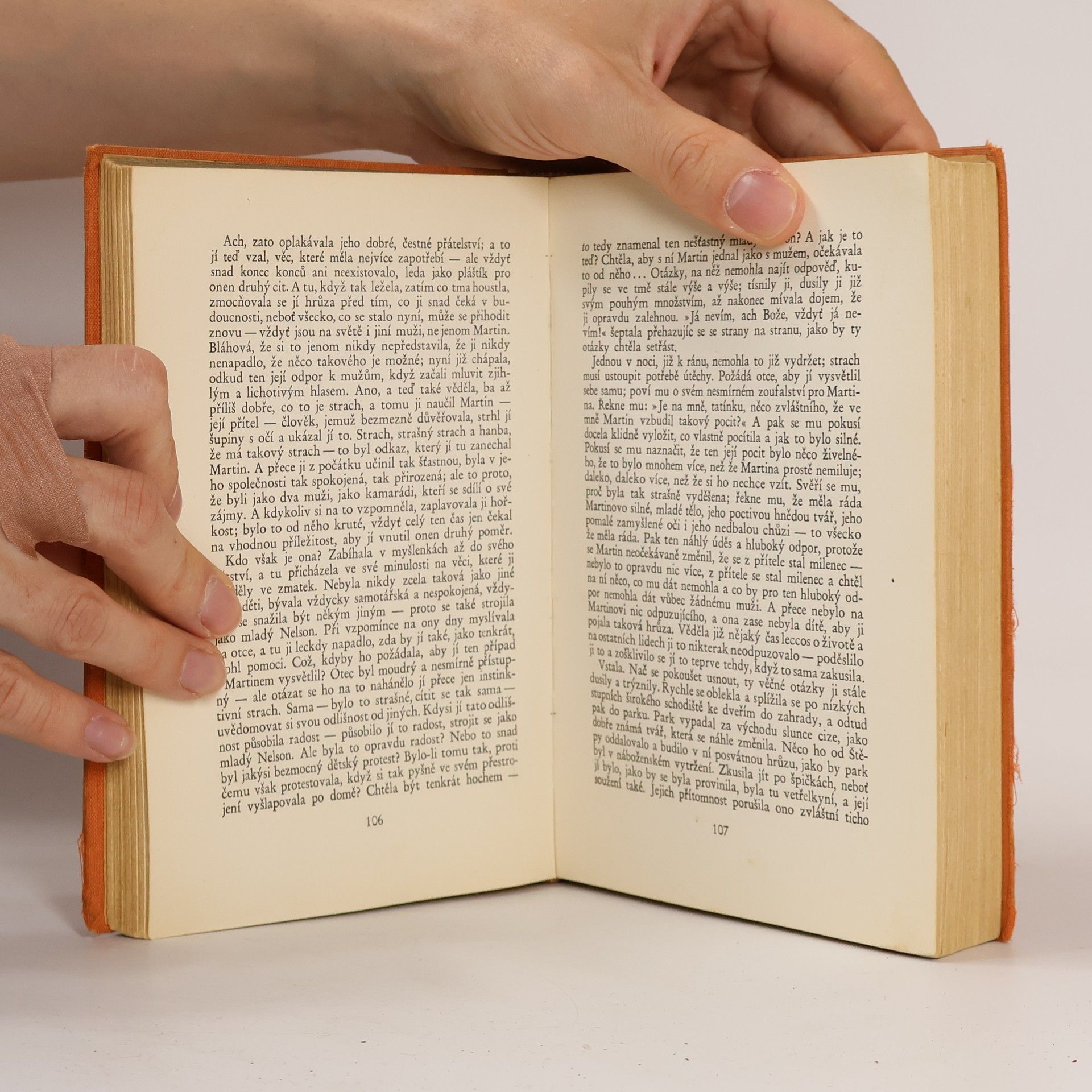 Radclyffe Hall Studna osamění