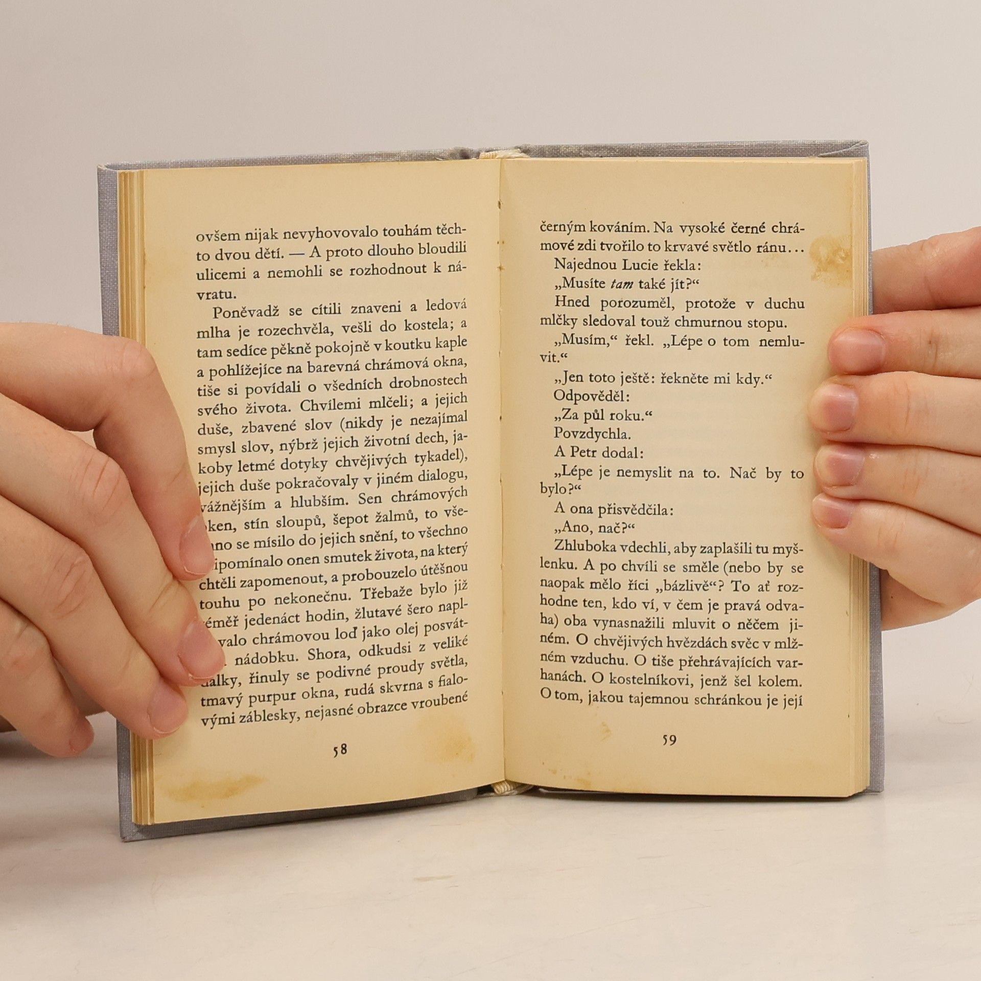 Romain Rolland Petr a Lucie
