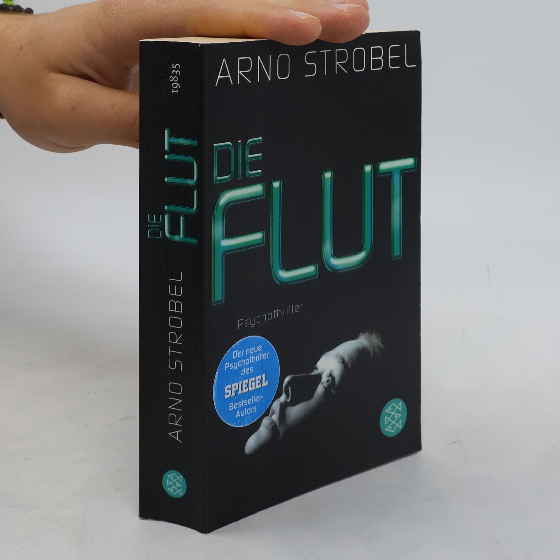 Arno Strobel Die Flut