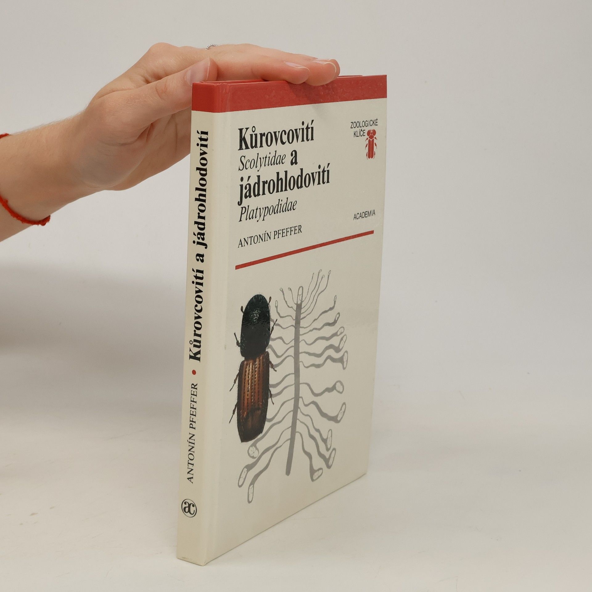 Antonín Pfeffer Kůrovcovití a jádrohlodovití