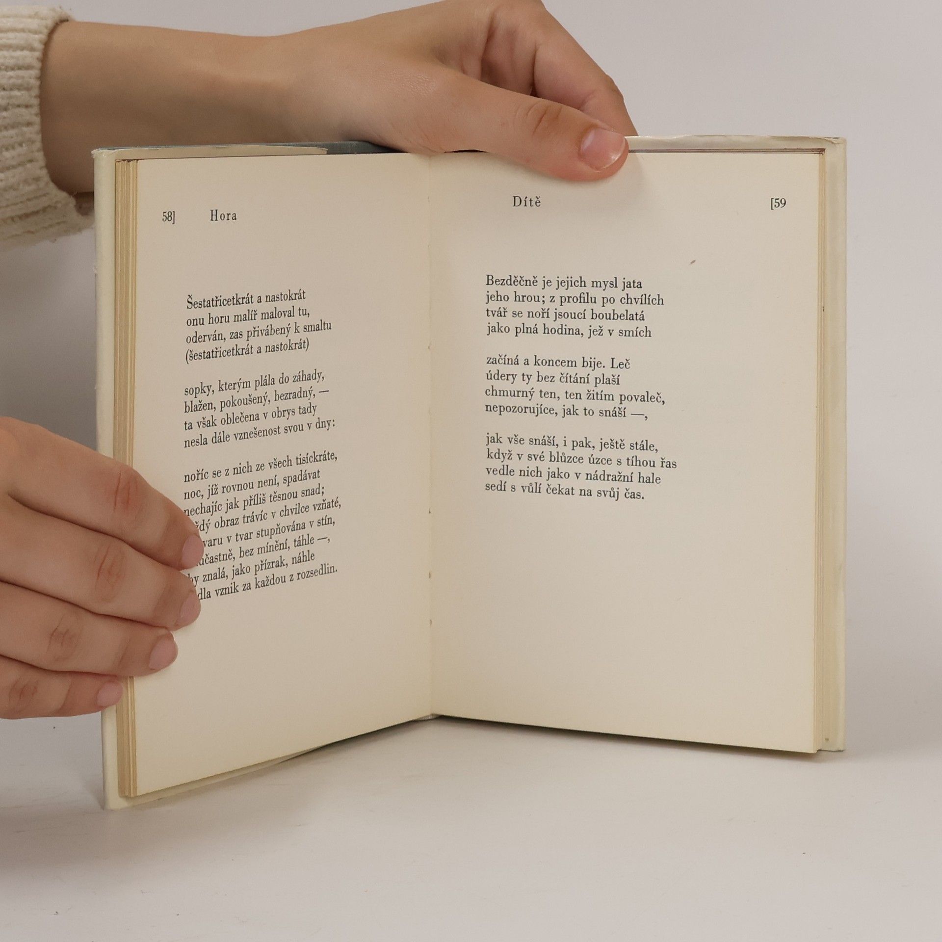 Rainer Maria Rilke Obrazy a elegie