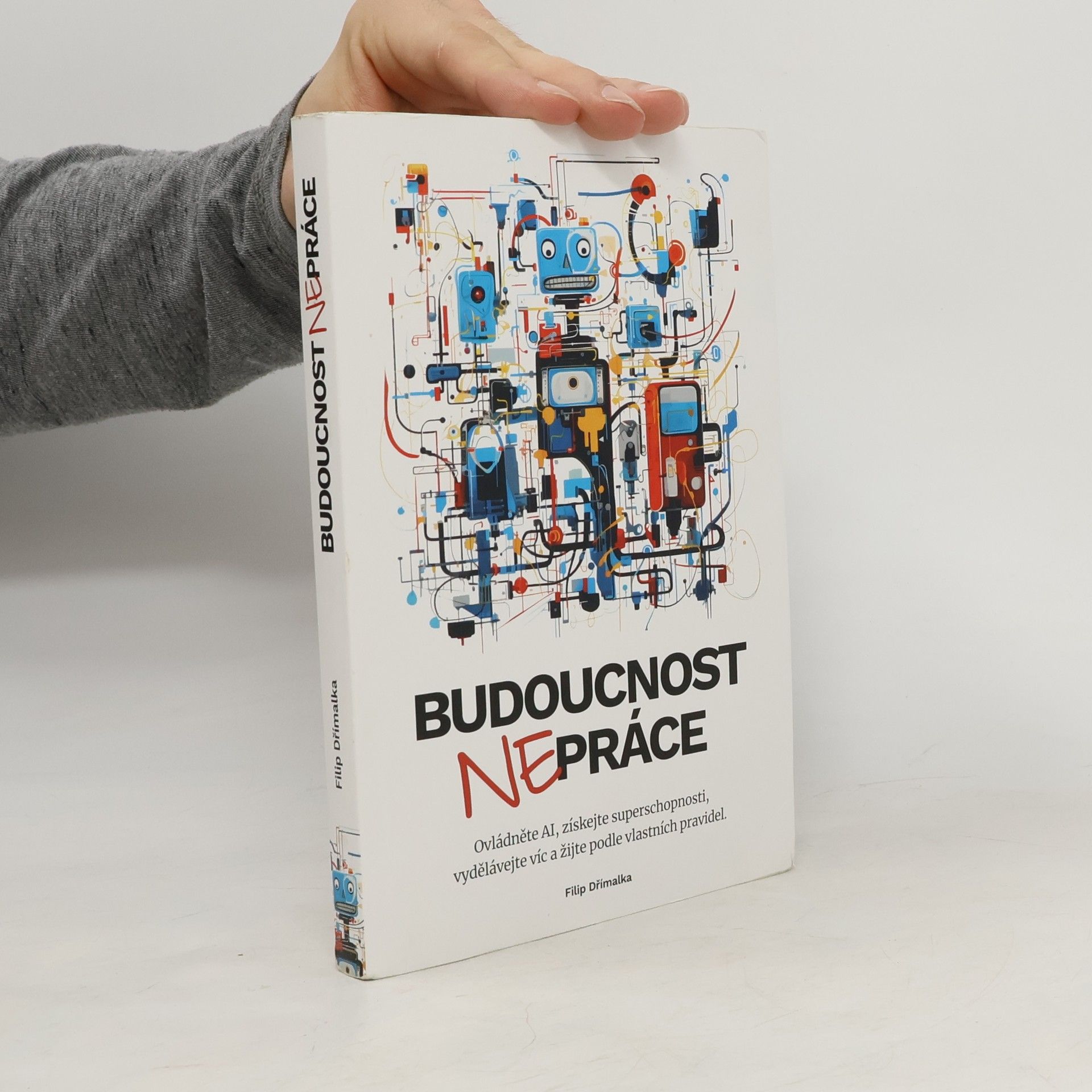 Filip Dřímalka Budoucnost nepráce