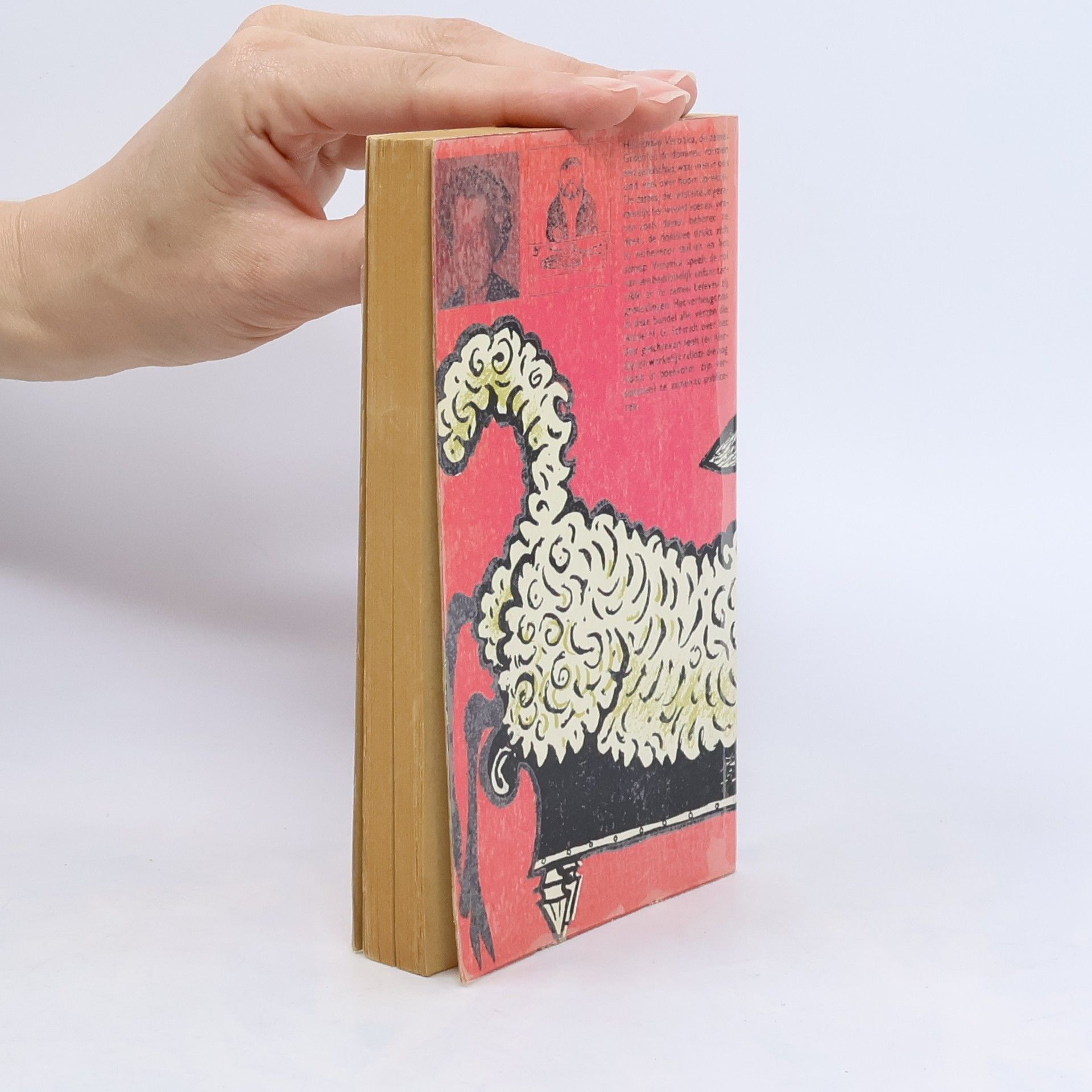 Annie M.G. Schmidt Het hele schaap Veronica