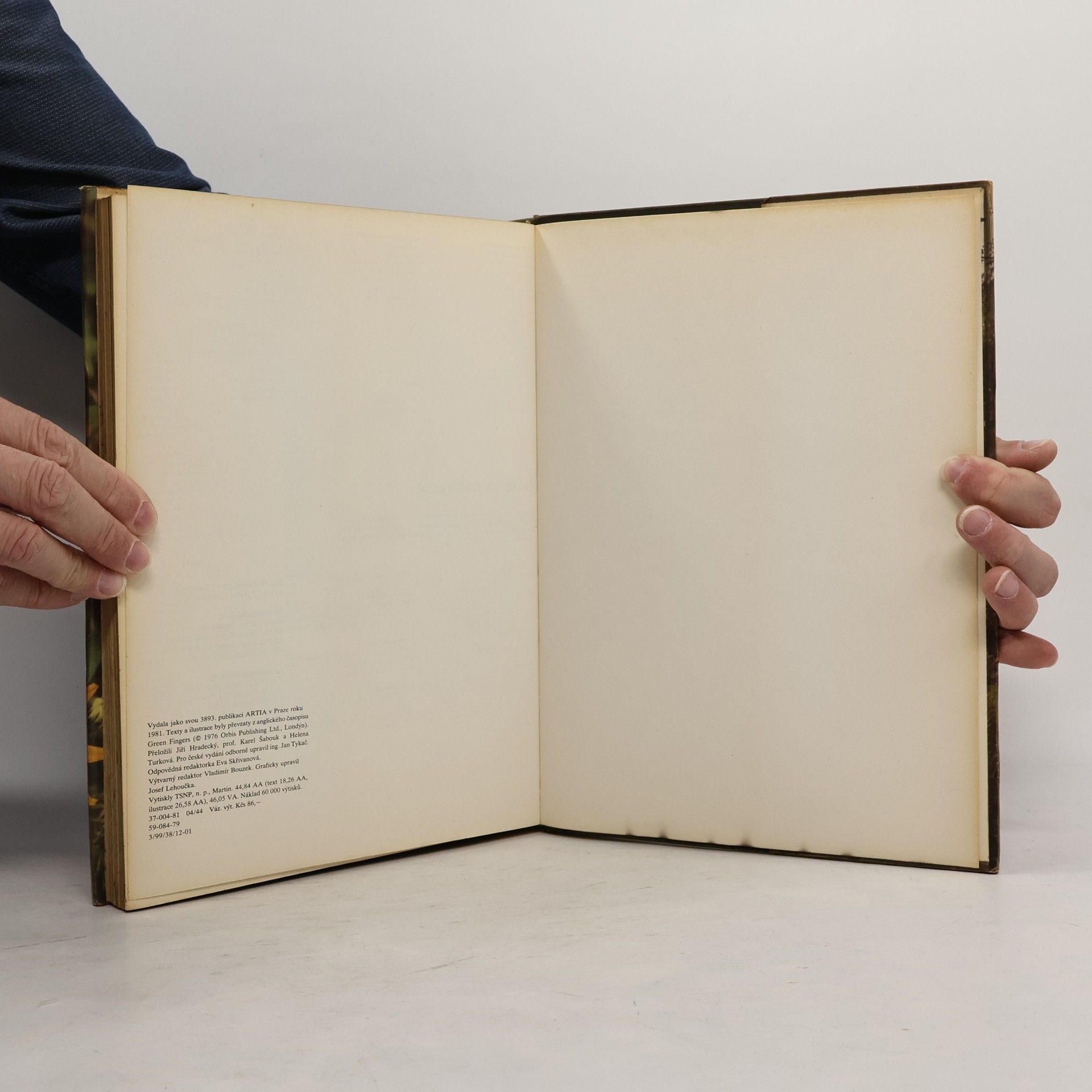Autores varios Léto v zahradě