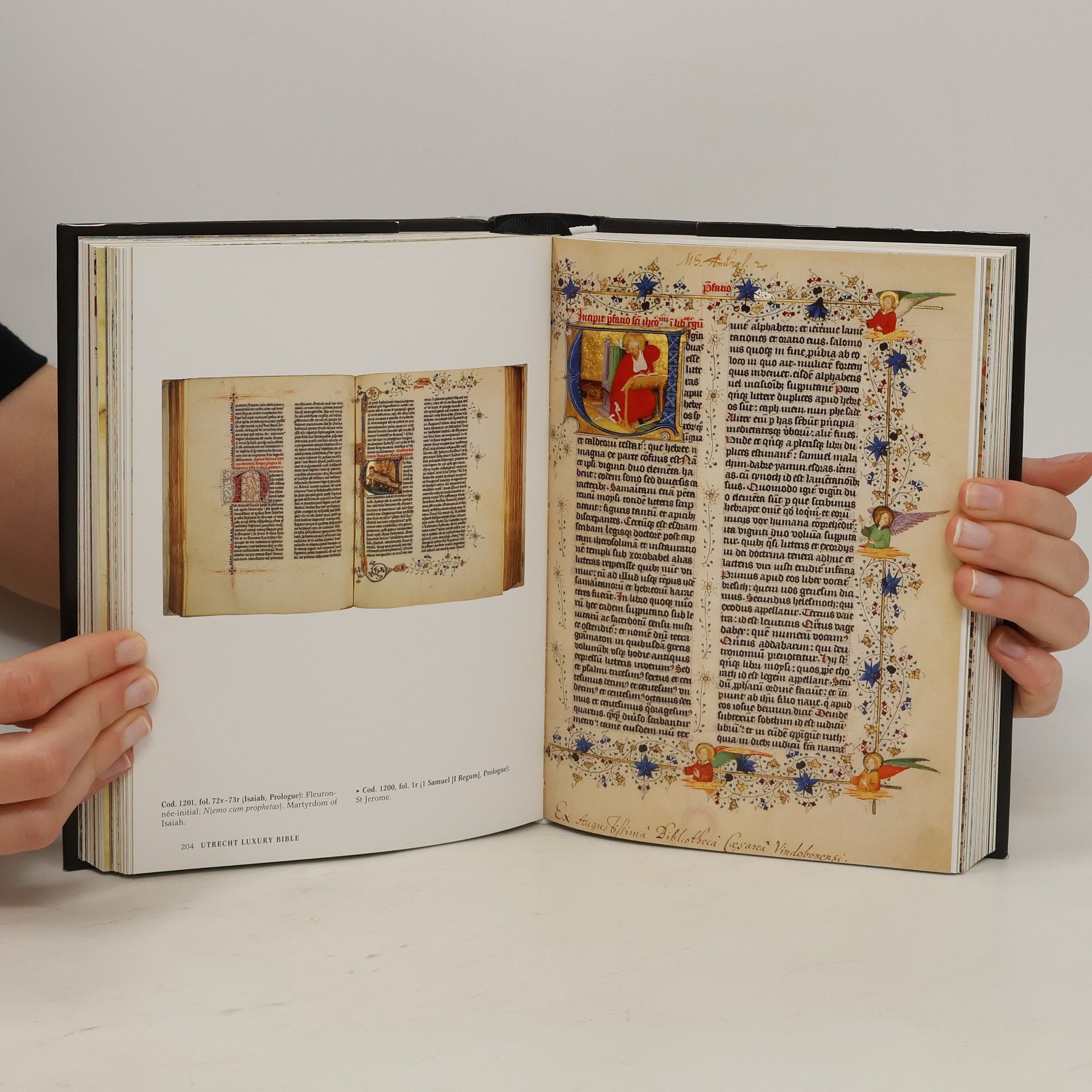 Andreas Fingernagel The book of Bibles : the most beautiful illuminated Bibles of the middle ages