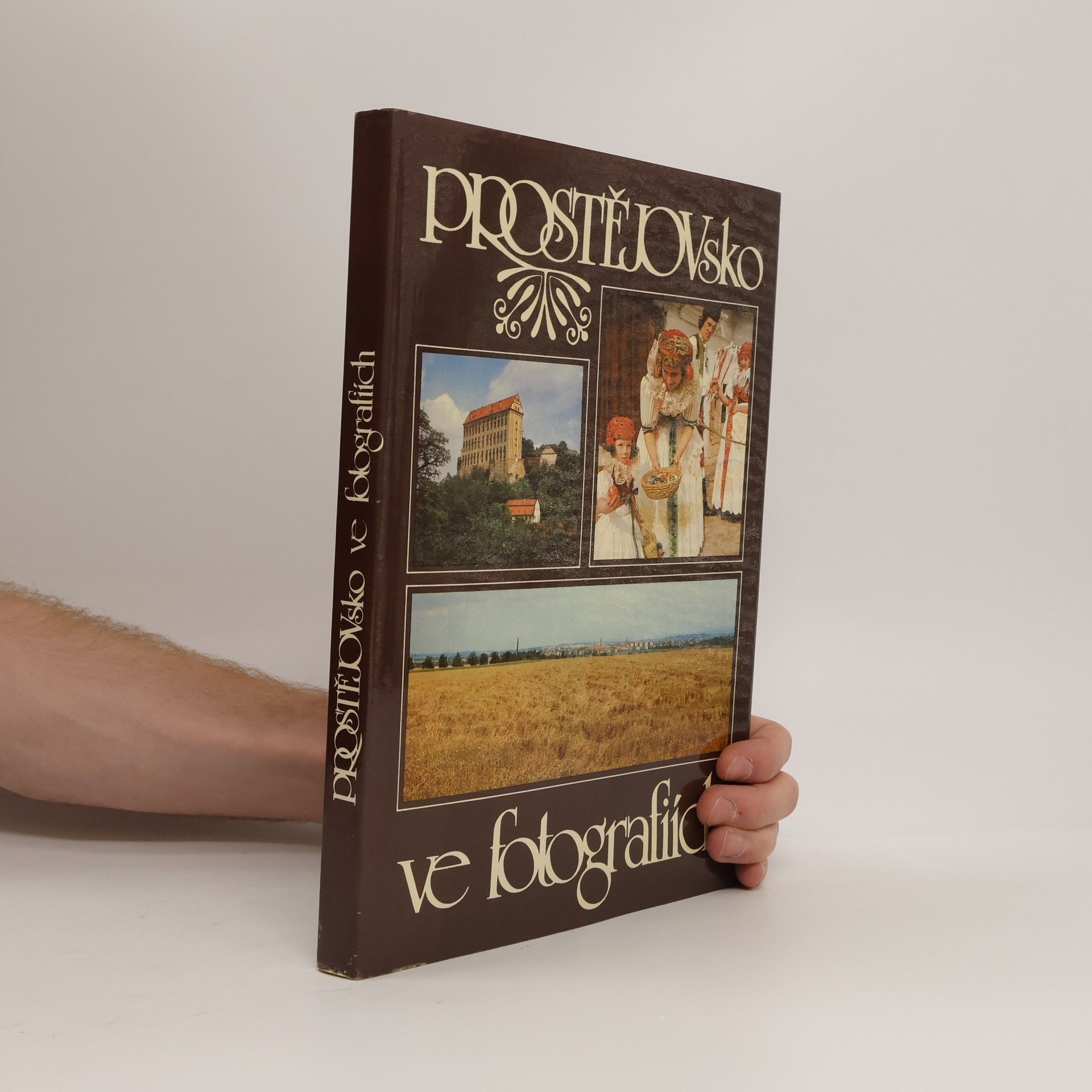 Bohumil Přikryl Prostějovsko ve fotografiích