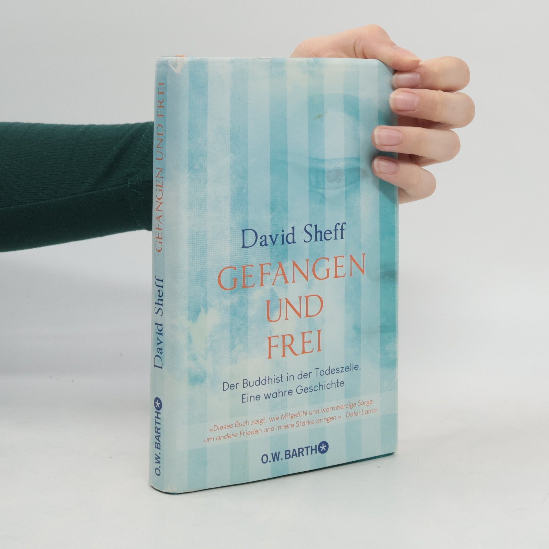 David Sheff Gefangen und Frei