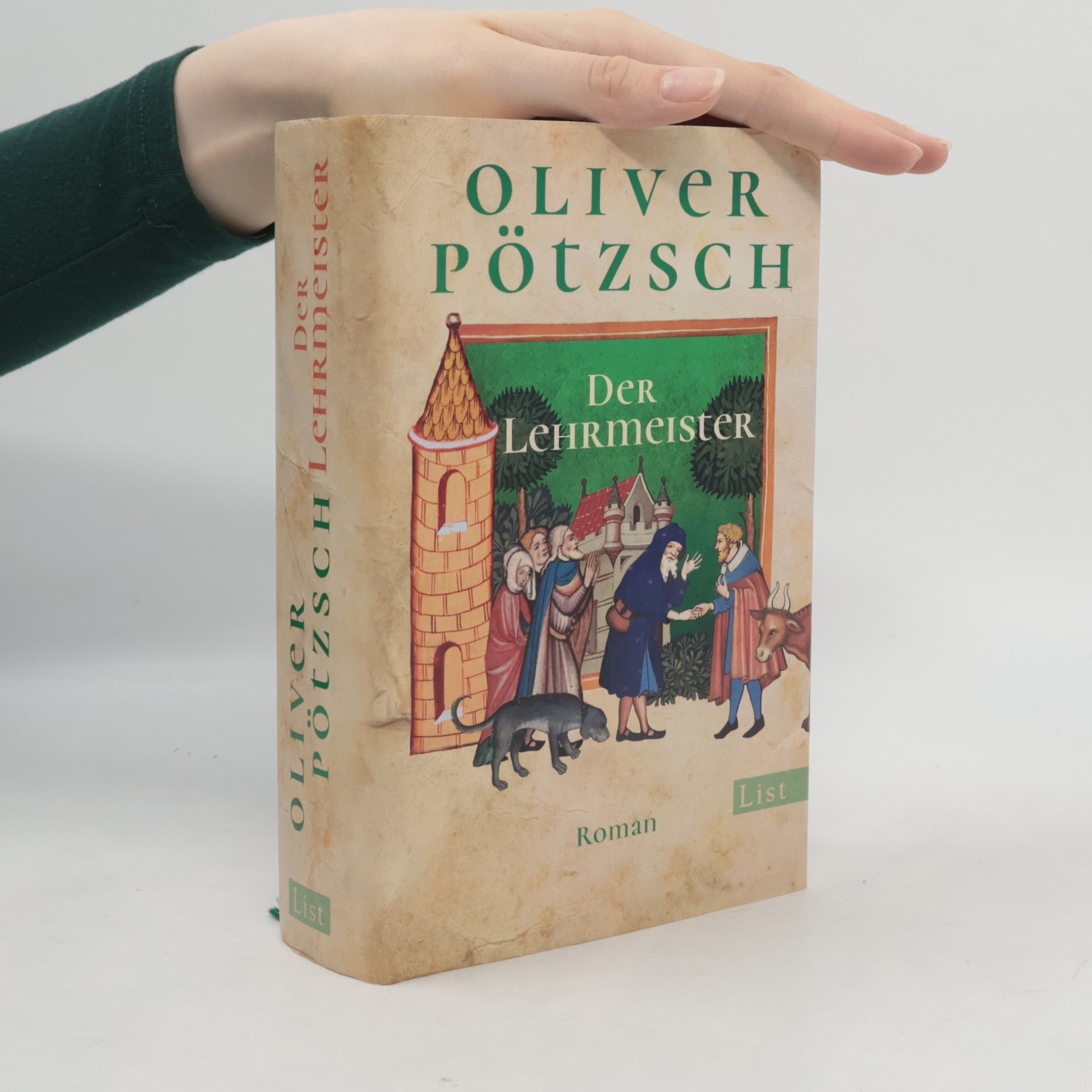 Oliver Pötzsch Der Lehrmeister