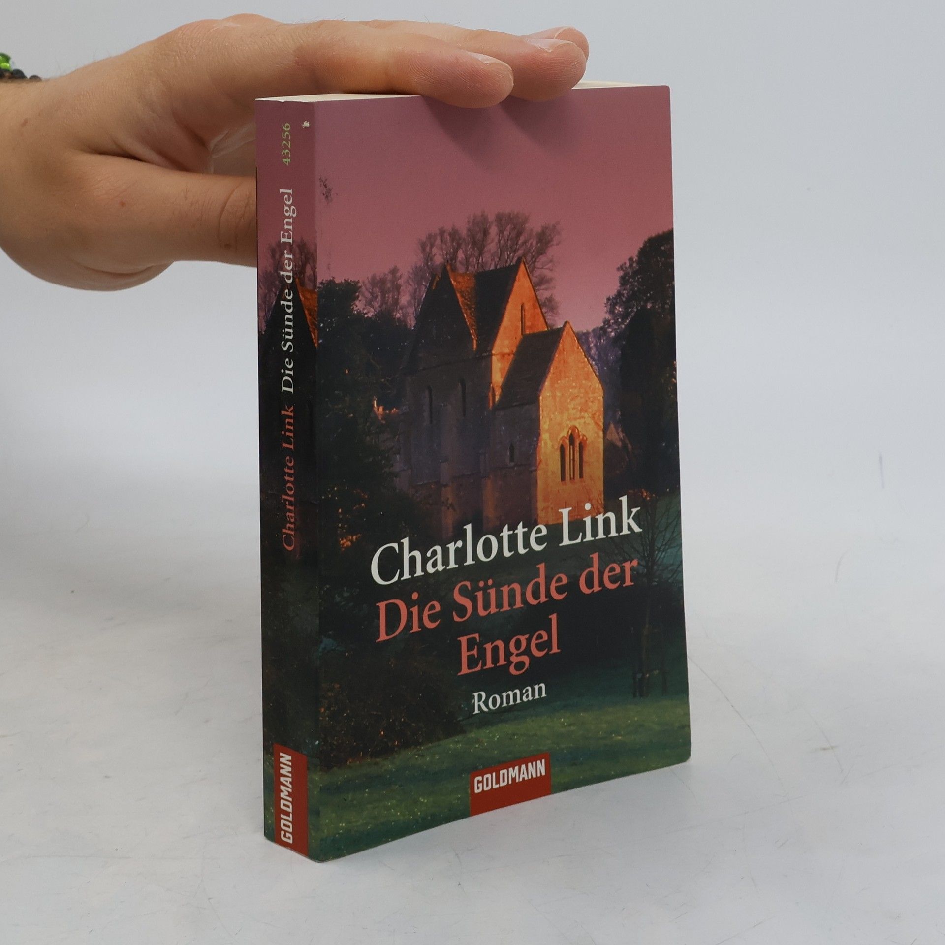 Charlotte Link Die Sünde der Engel