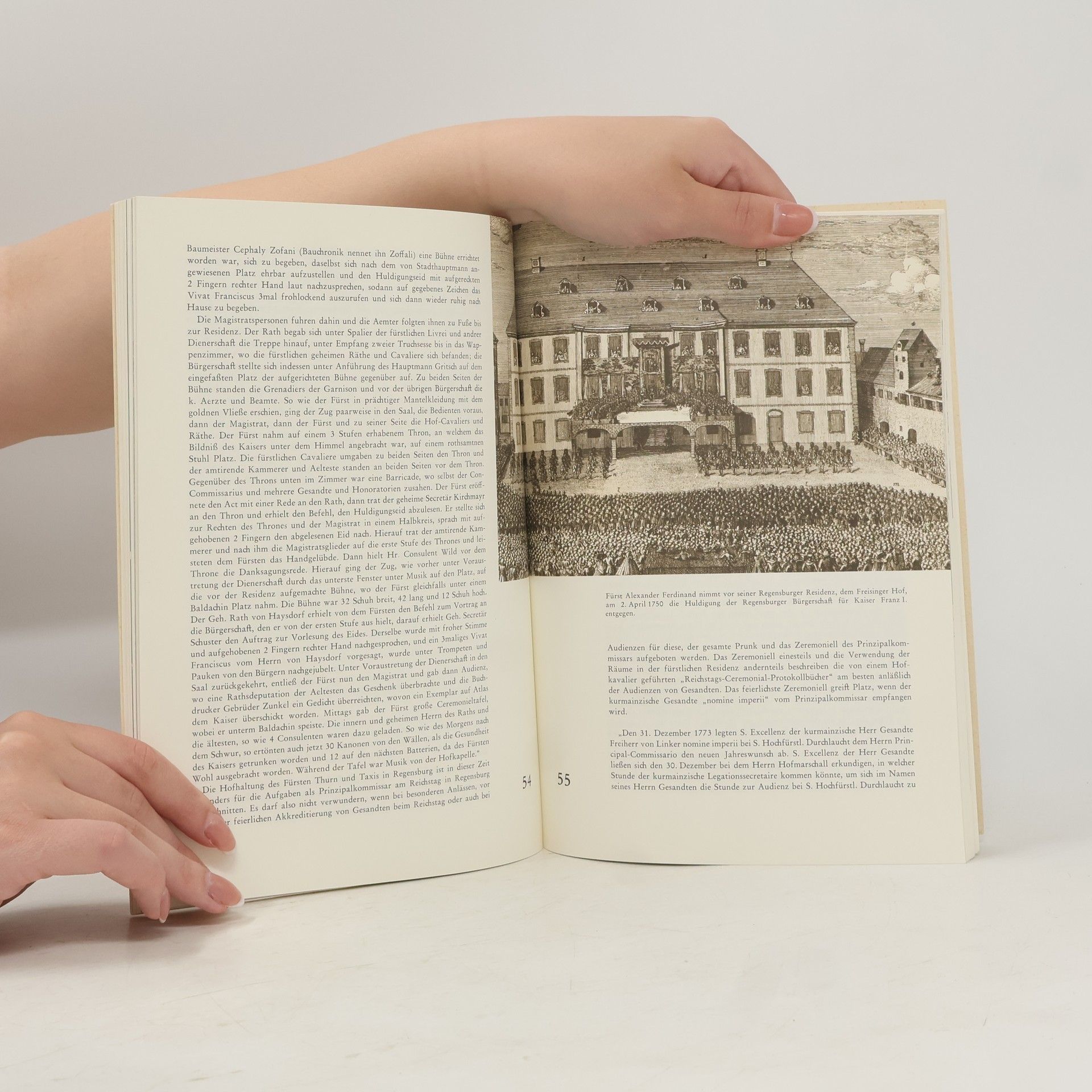 Max Piendl Thurn und Taxis 1517-1867. Zur Geschichte des fürstlichen Hauses und der Thurn und Taxisschen Post