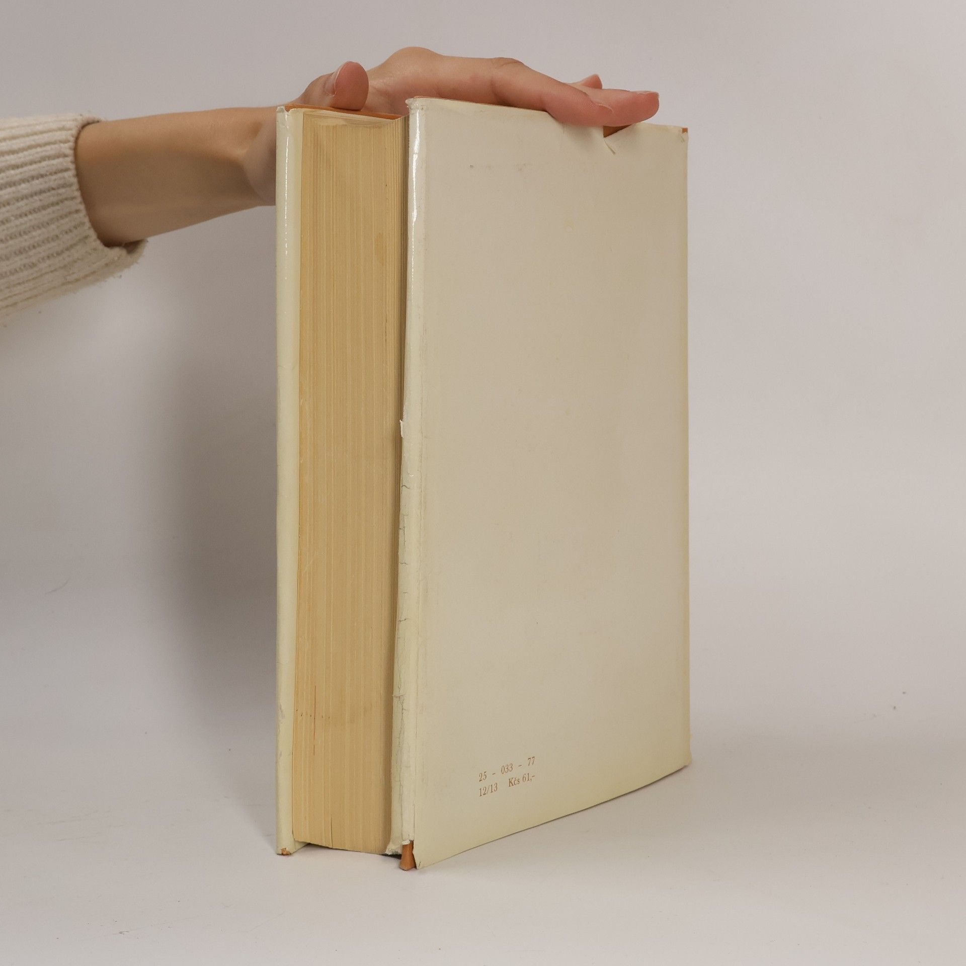 Jiří Honzík Ruská klasická literatura