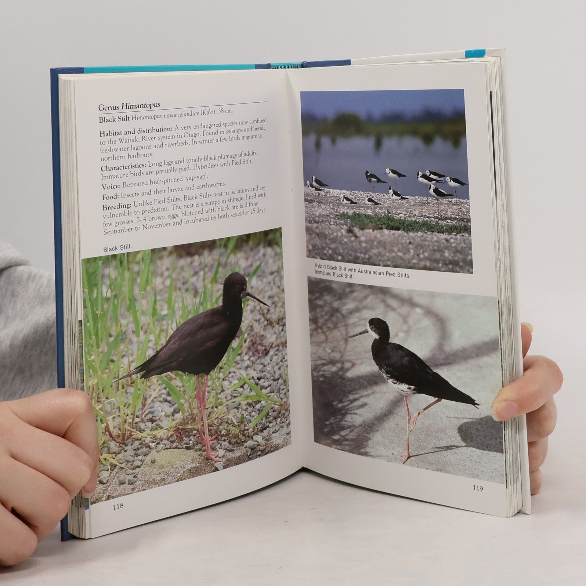 Geoff Moon The Reed Field Guide to New Zealand Birds