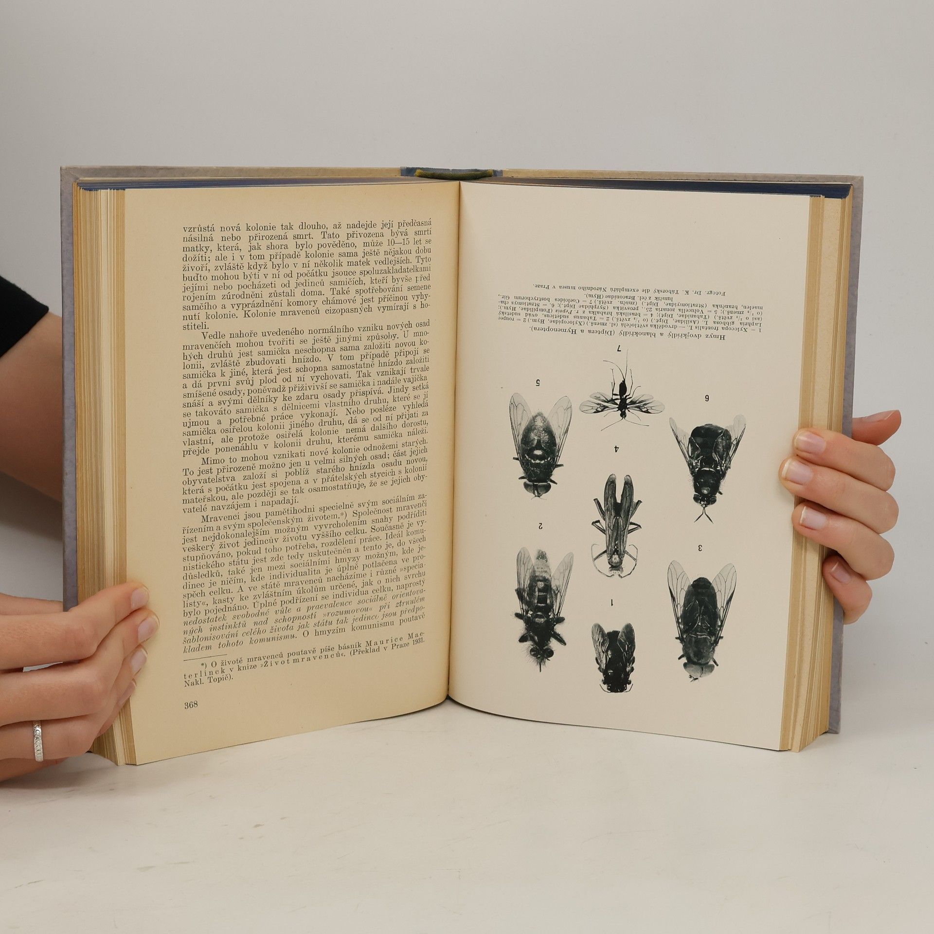 Jan Obenberger Velký ilustrovaný přírodopis všech tří říší: Zoologie III.